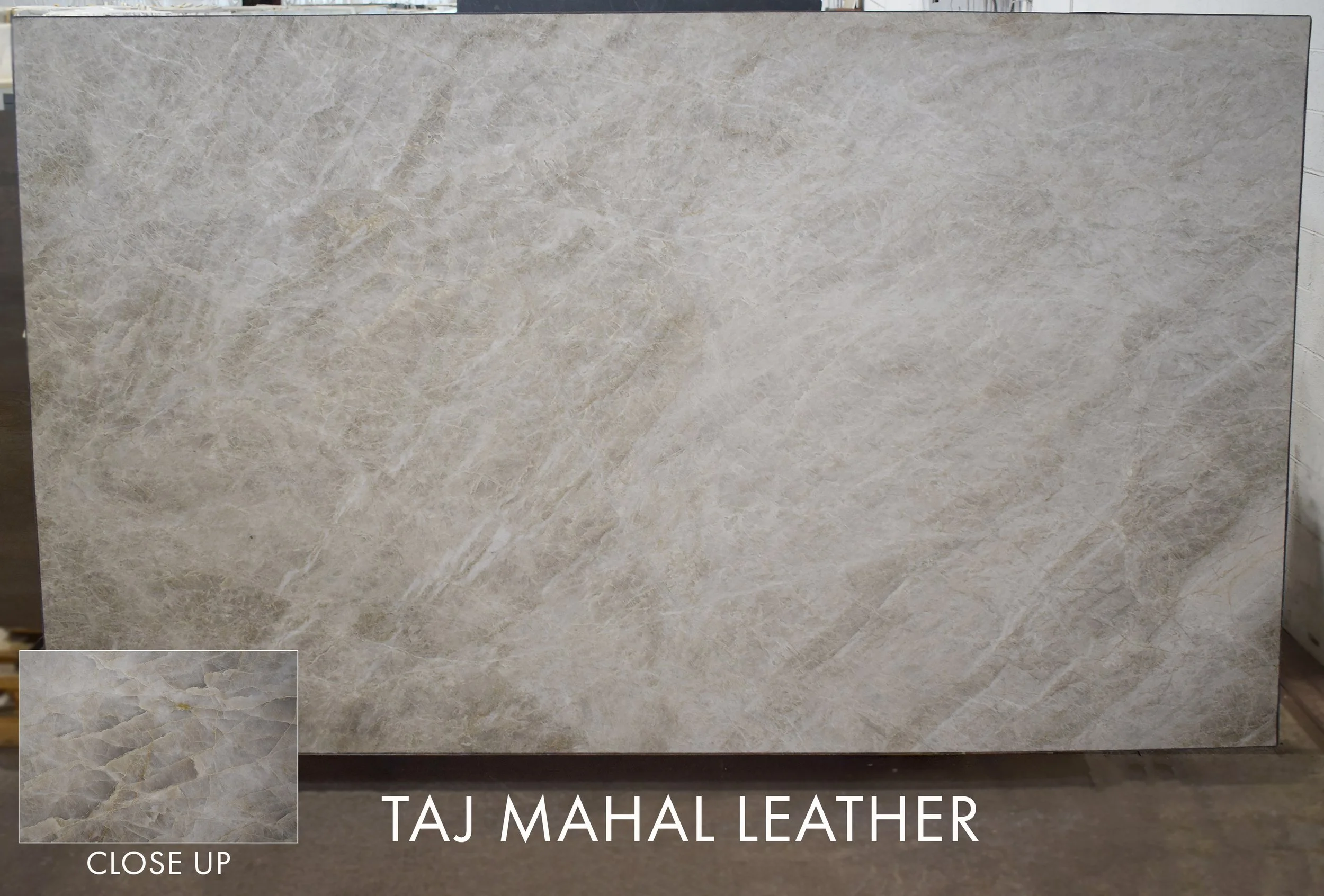 Taj Mahal Leather GTI071026-L 127x77x3.jpg