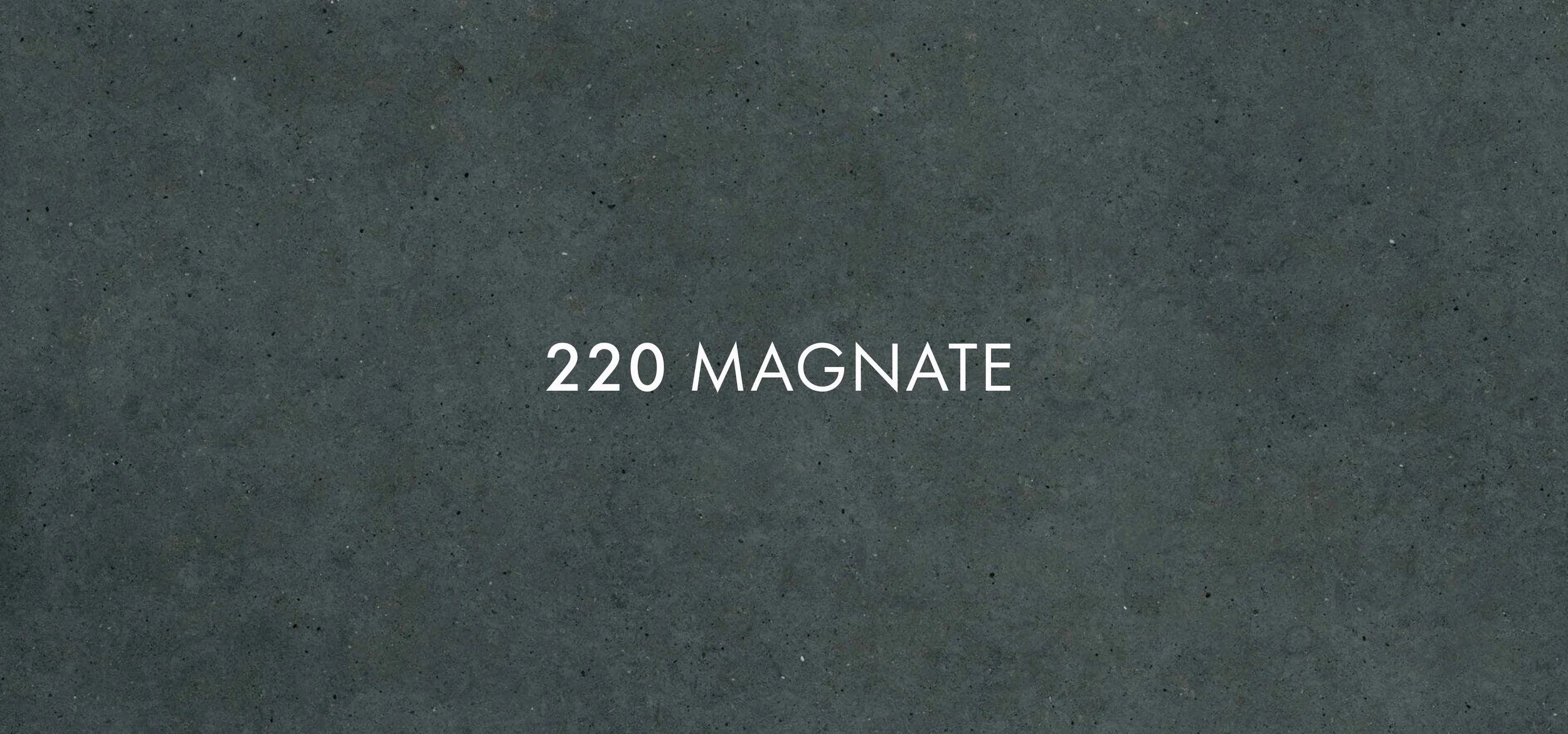 Magnate 220.jpg