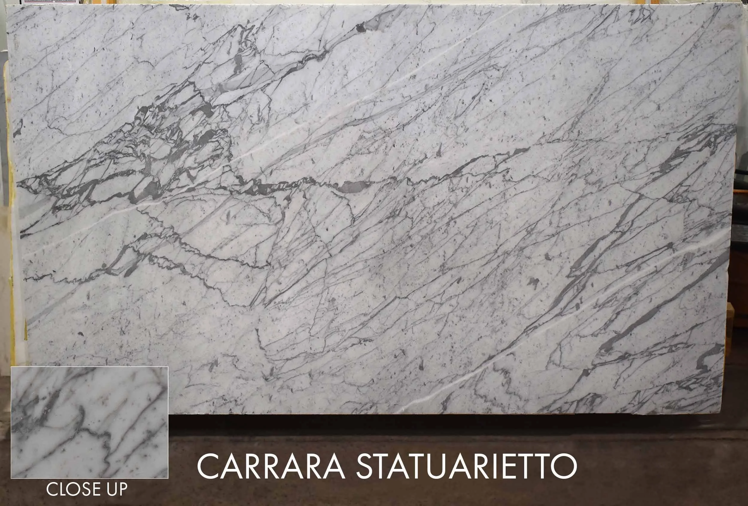 CARRARA STATUARIETTO | 116x66x3 | EVA121119