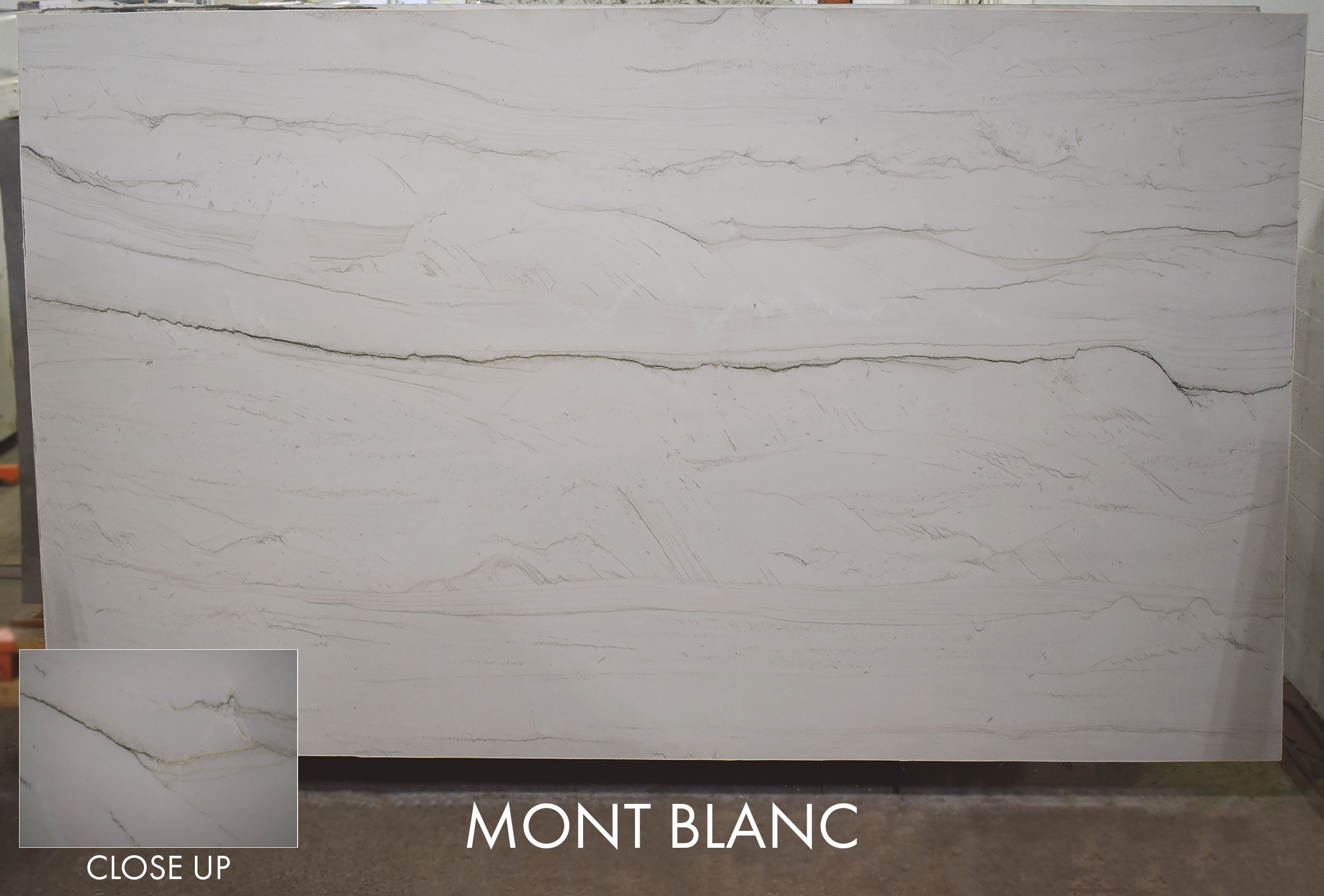 Mont Blanc FAV071924 132x78x3.jpg