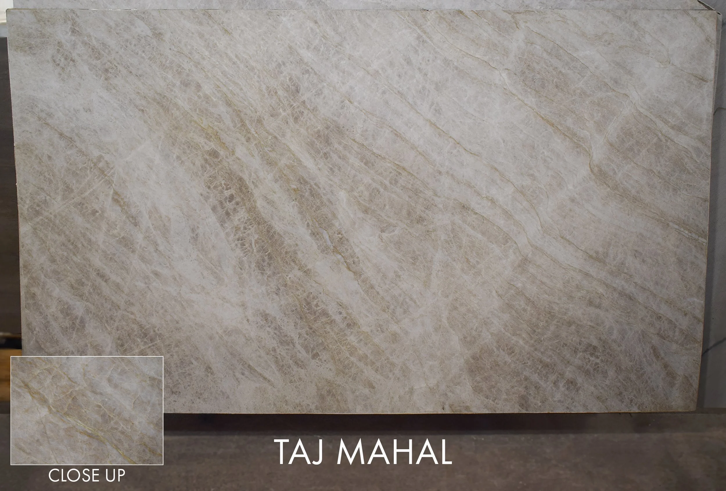 Taj Mahal FAV051826 124x73x3.jpg