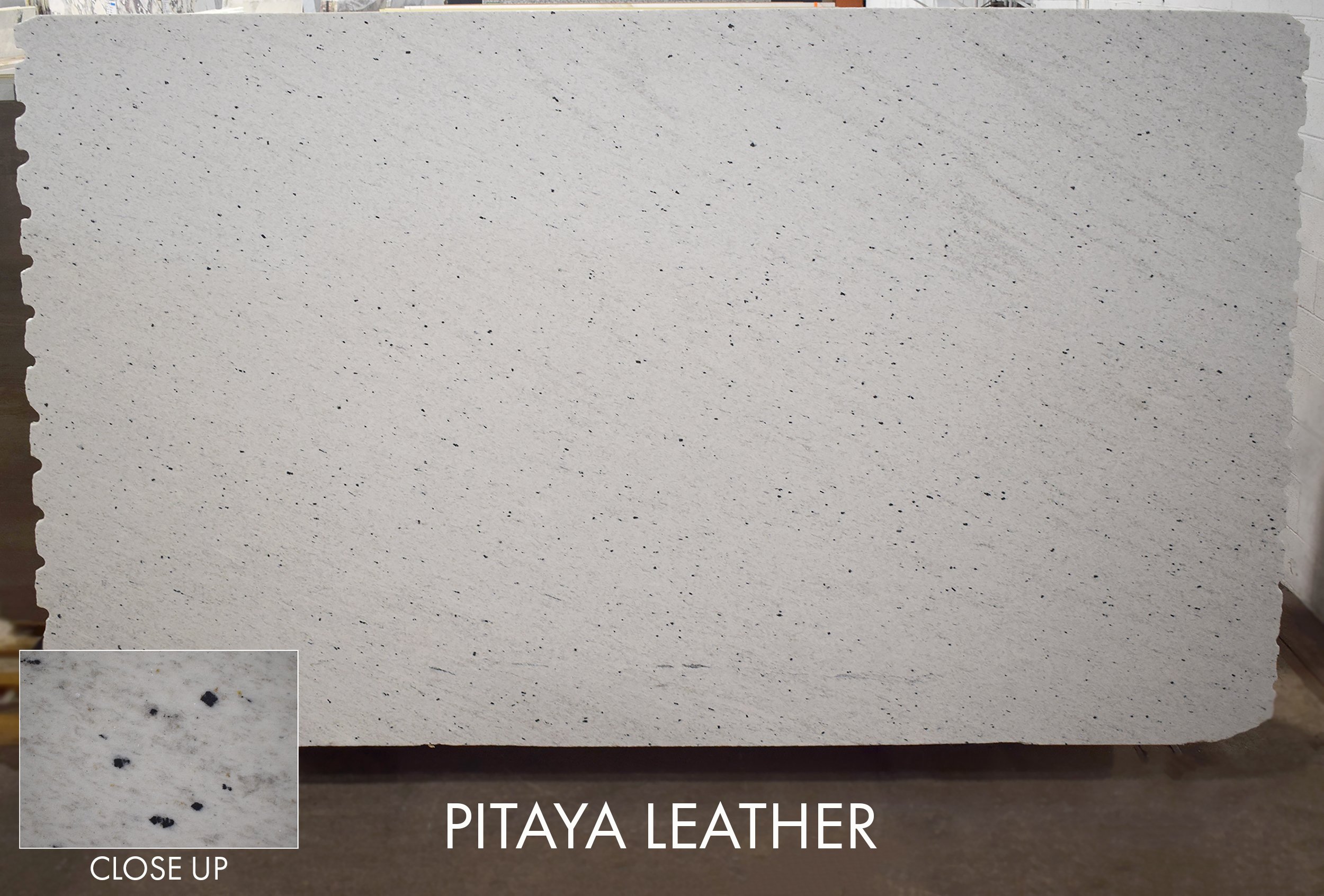 Pitaya (Leather Side) BRS070626L-P 124x75x3.jpg