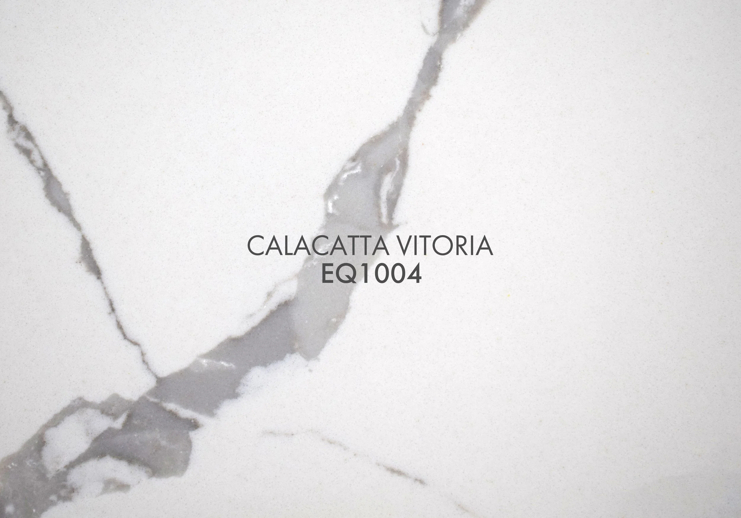 Calacatta Vitoria EQ1004.jpg