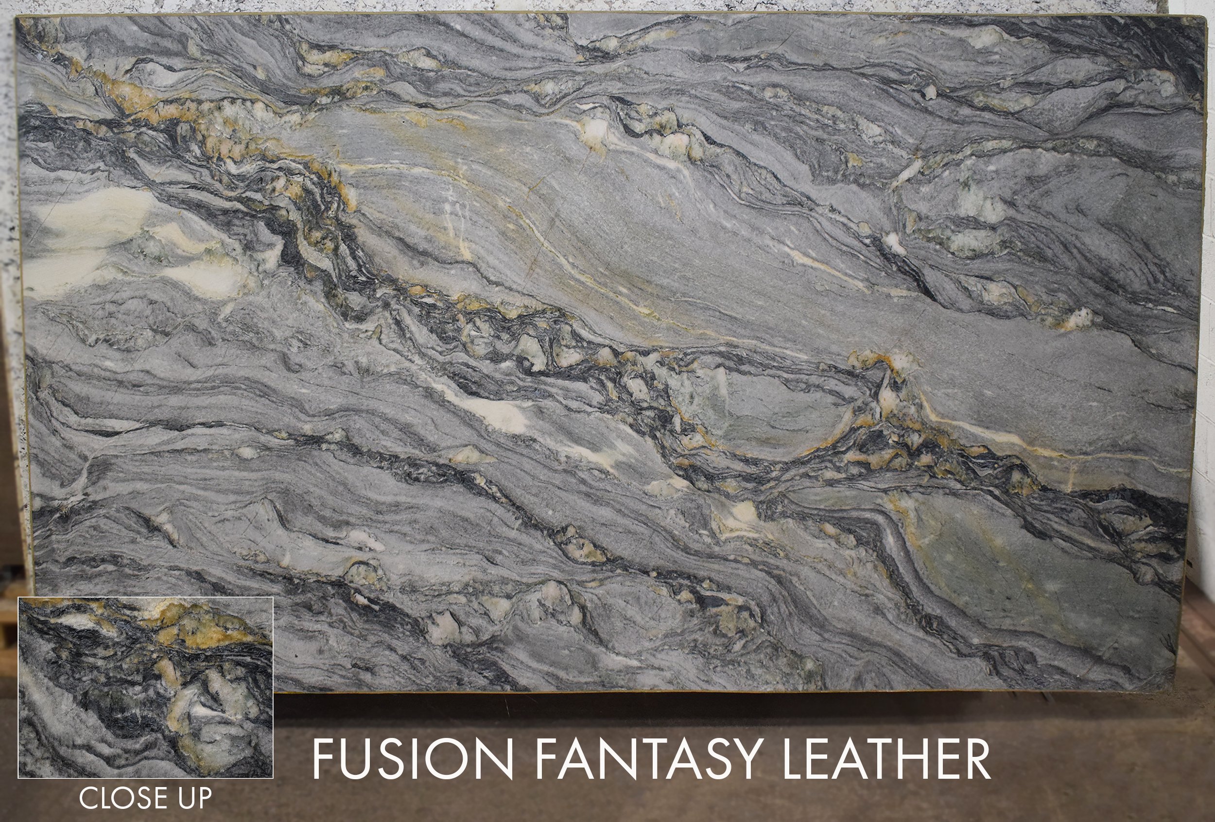 Fusion Fantasy Leather GTI051126-L 125x72x3.jpg