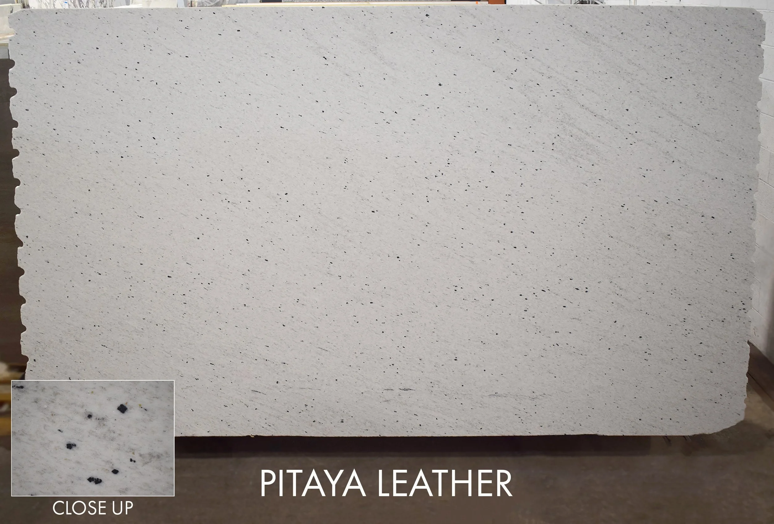 Pitaya (Leather Side) BRS070626L-P 124x75x3.jpg