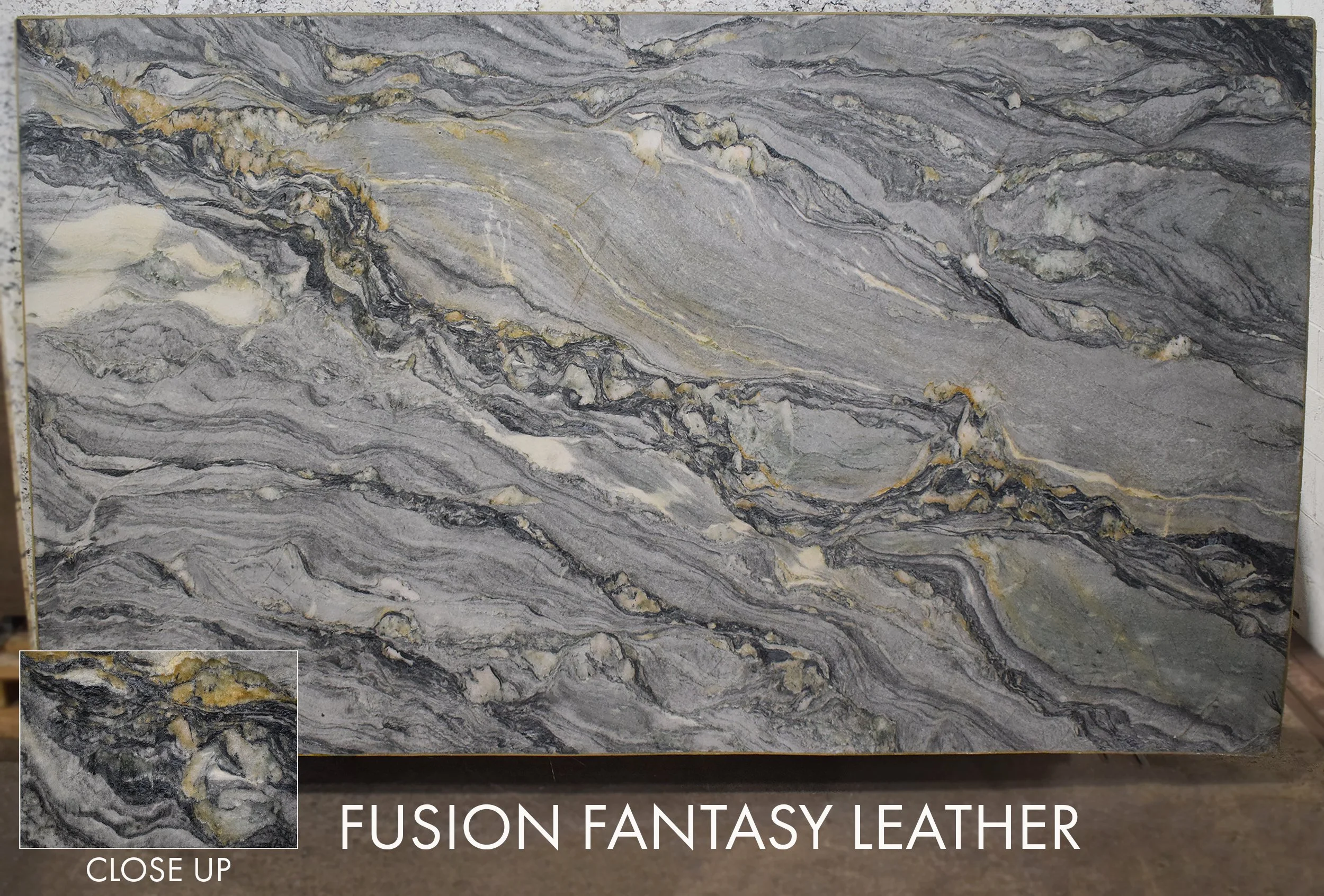 Fusion Fantasy Leather GTI051126-L 125x72x3.jpg