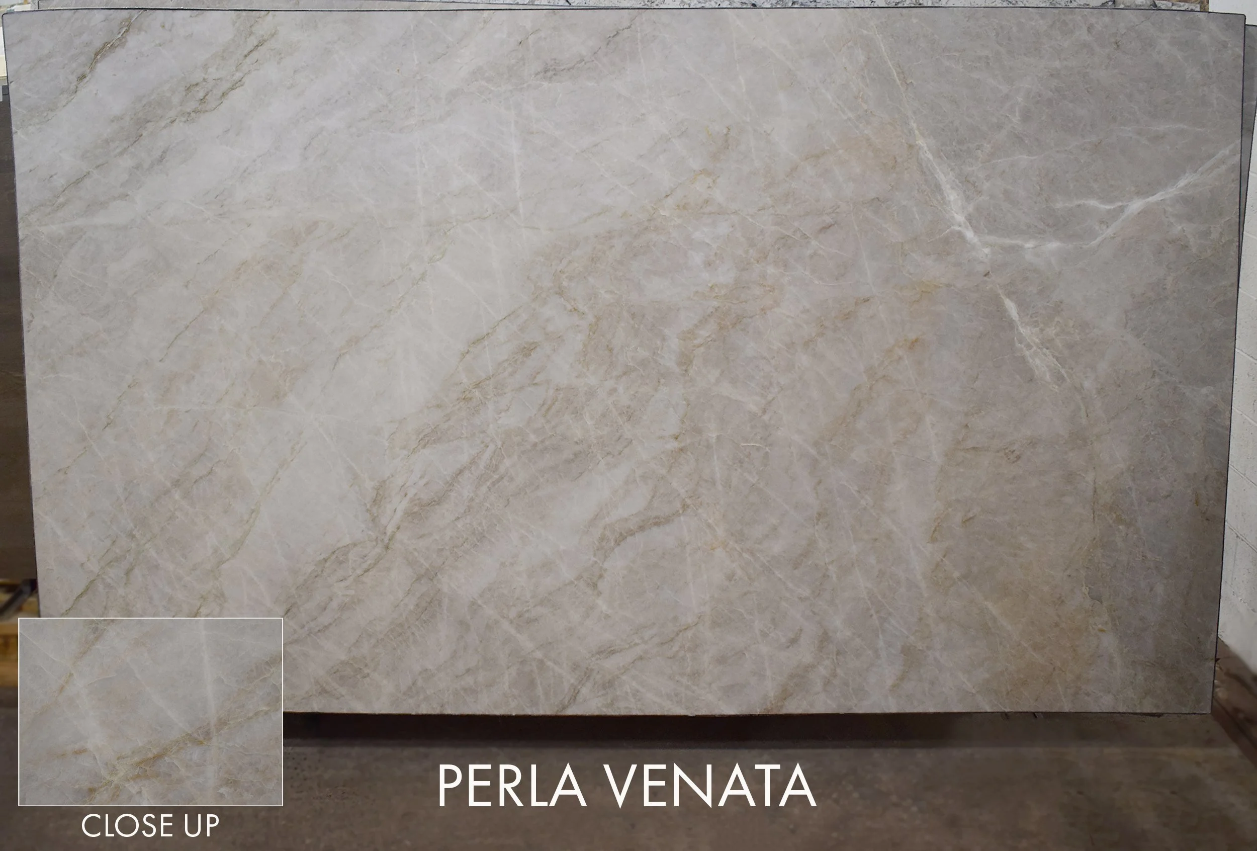 Perla Venata GTI051126 128x74x3.jpg