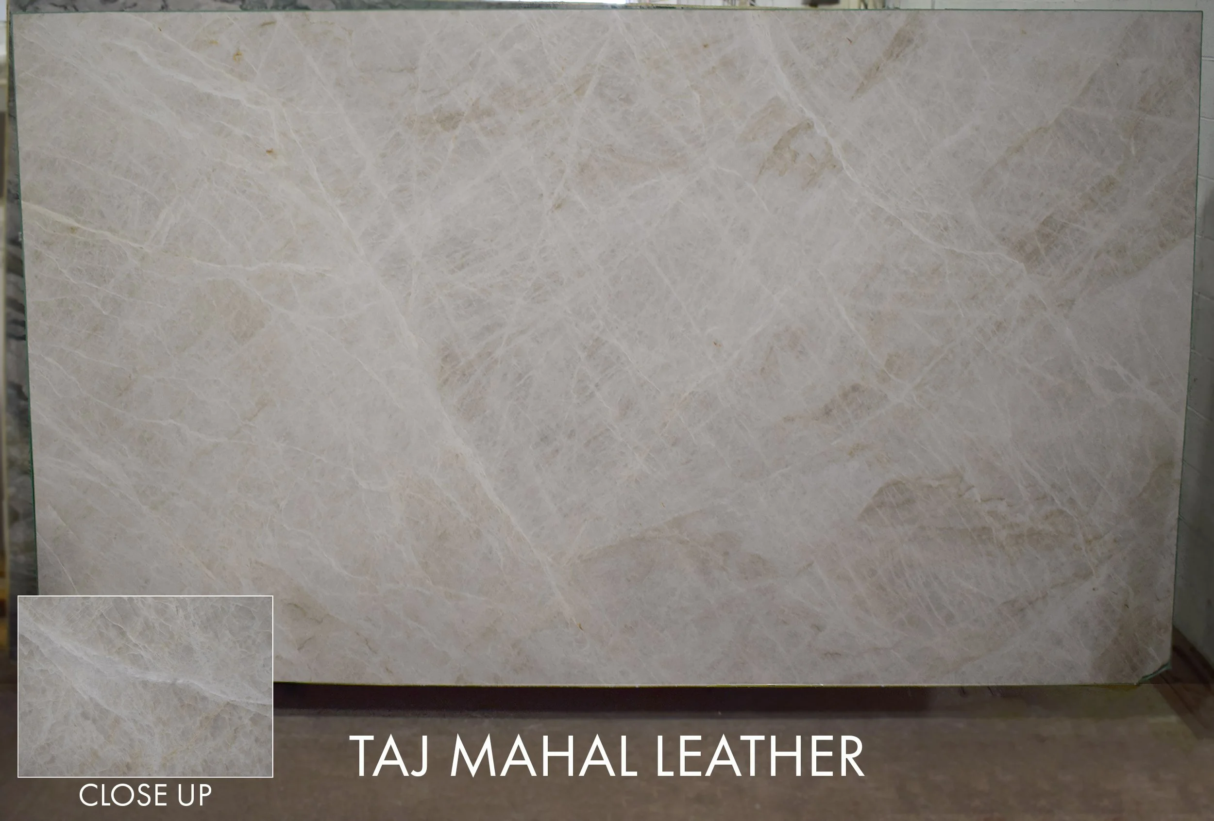 Taj Mahal Leather ZUC021226L 131x77x3.jpg