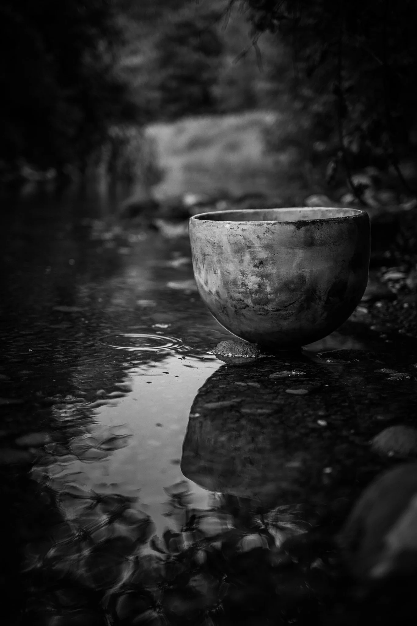 DSCF1342.jpg