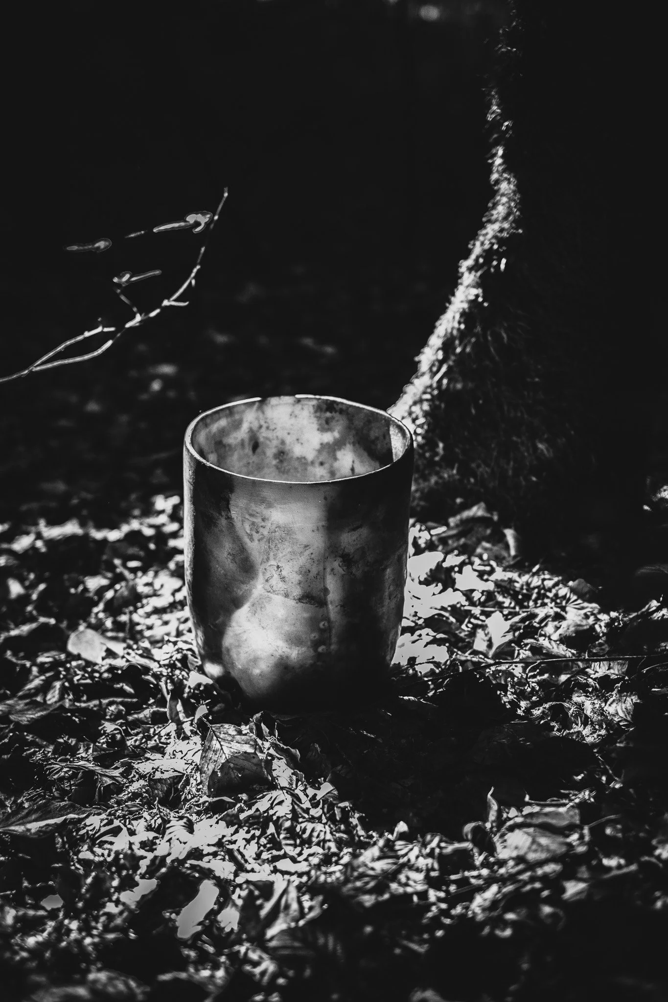 DSCF1410-2.jpg
