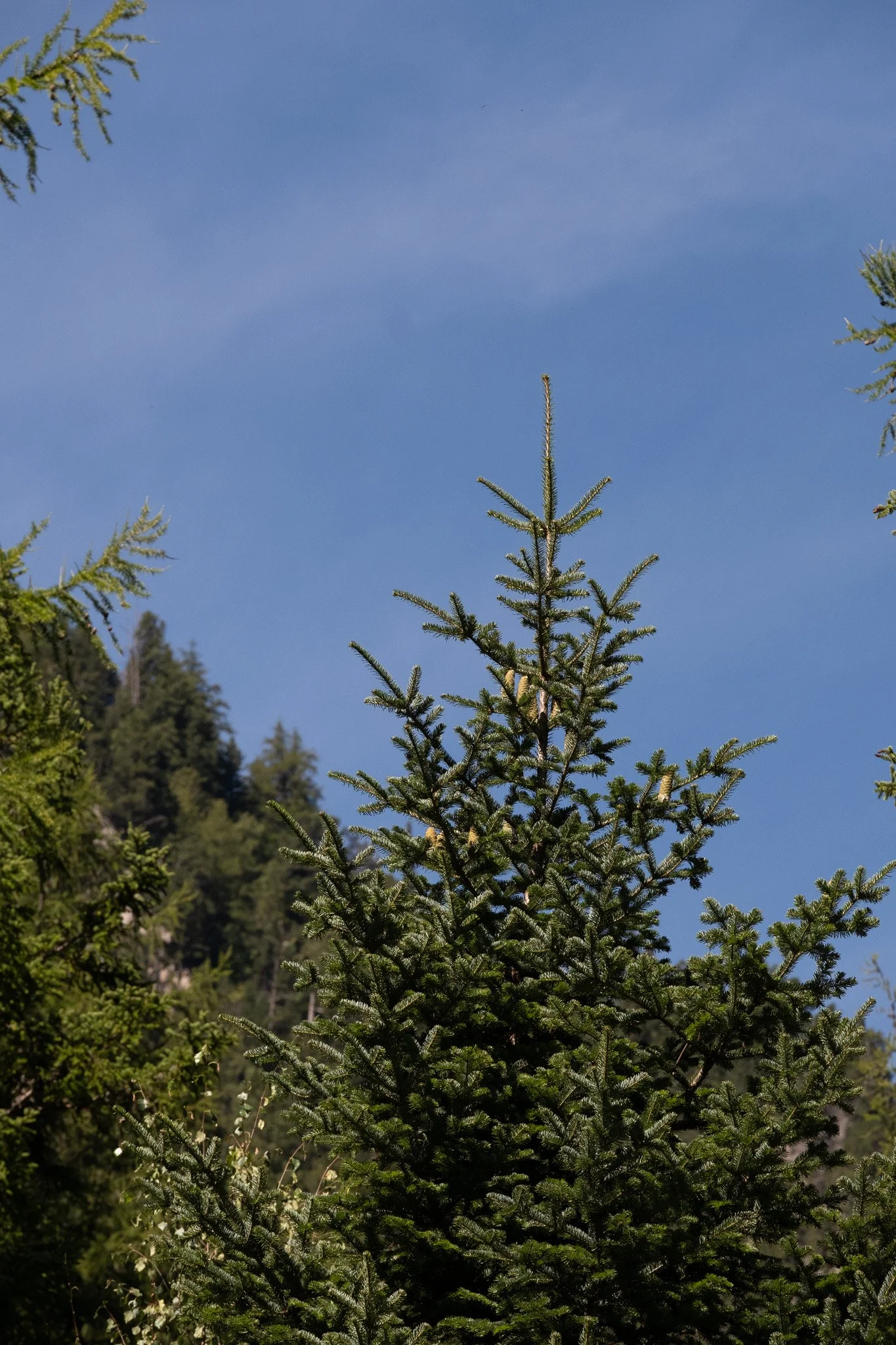 DSCF0616.jpg