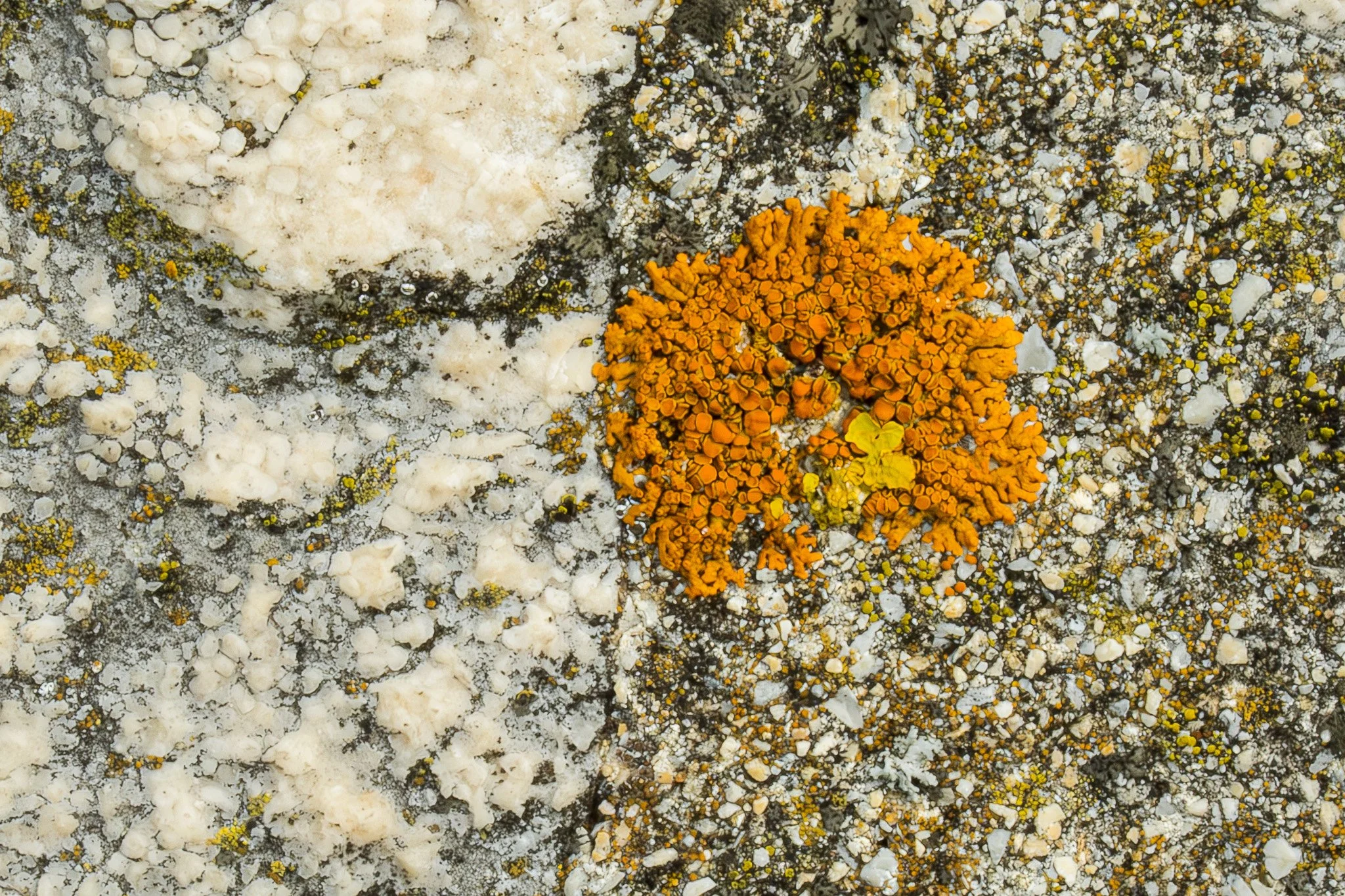 DSCF3775-Enhanced-NR.jpg