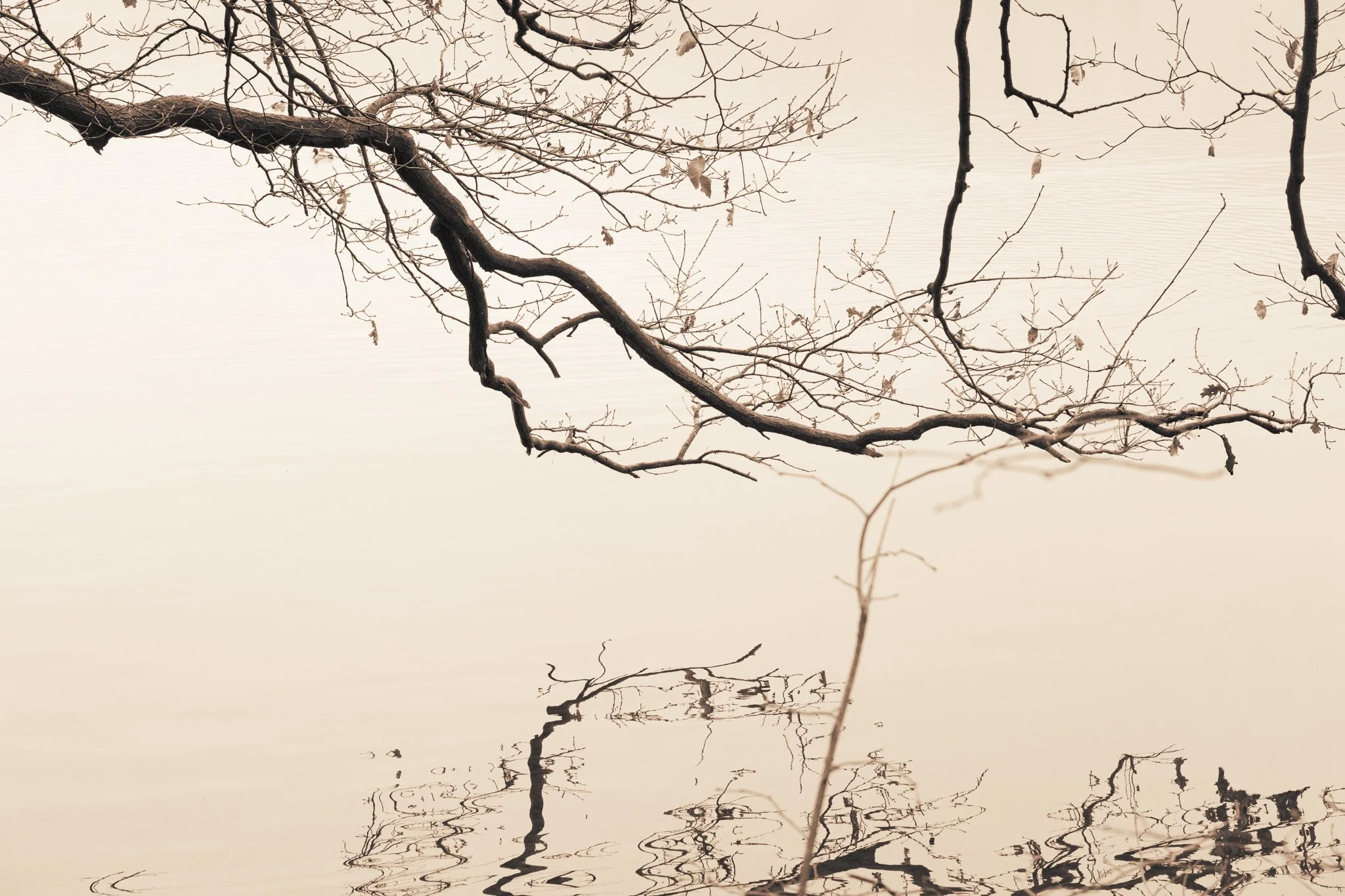 DSCF6545.jpg