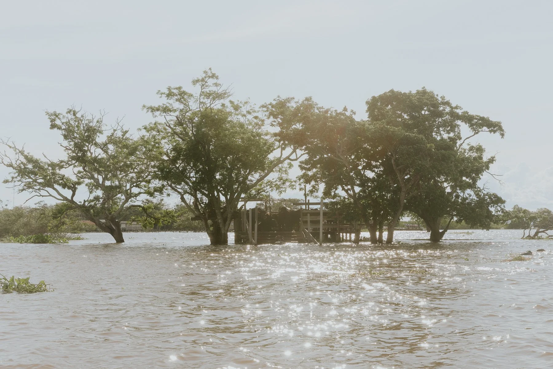 Amazonas-Iquitos-Belem-21.jpg