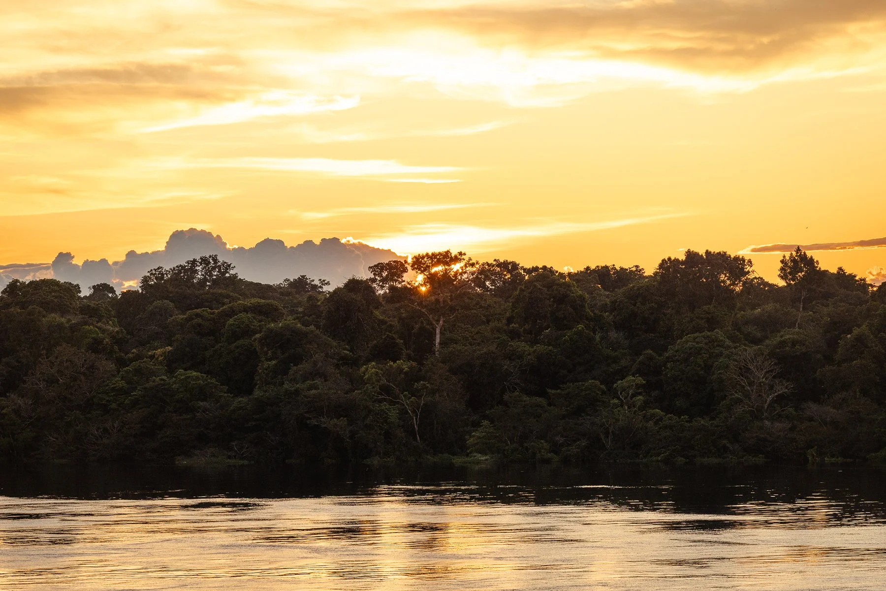 Amazonas-Iquitos-Belem-8.jpg