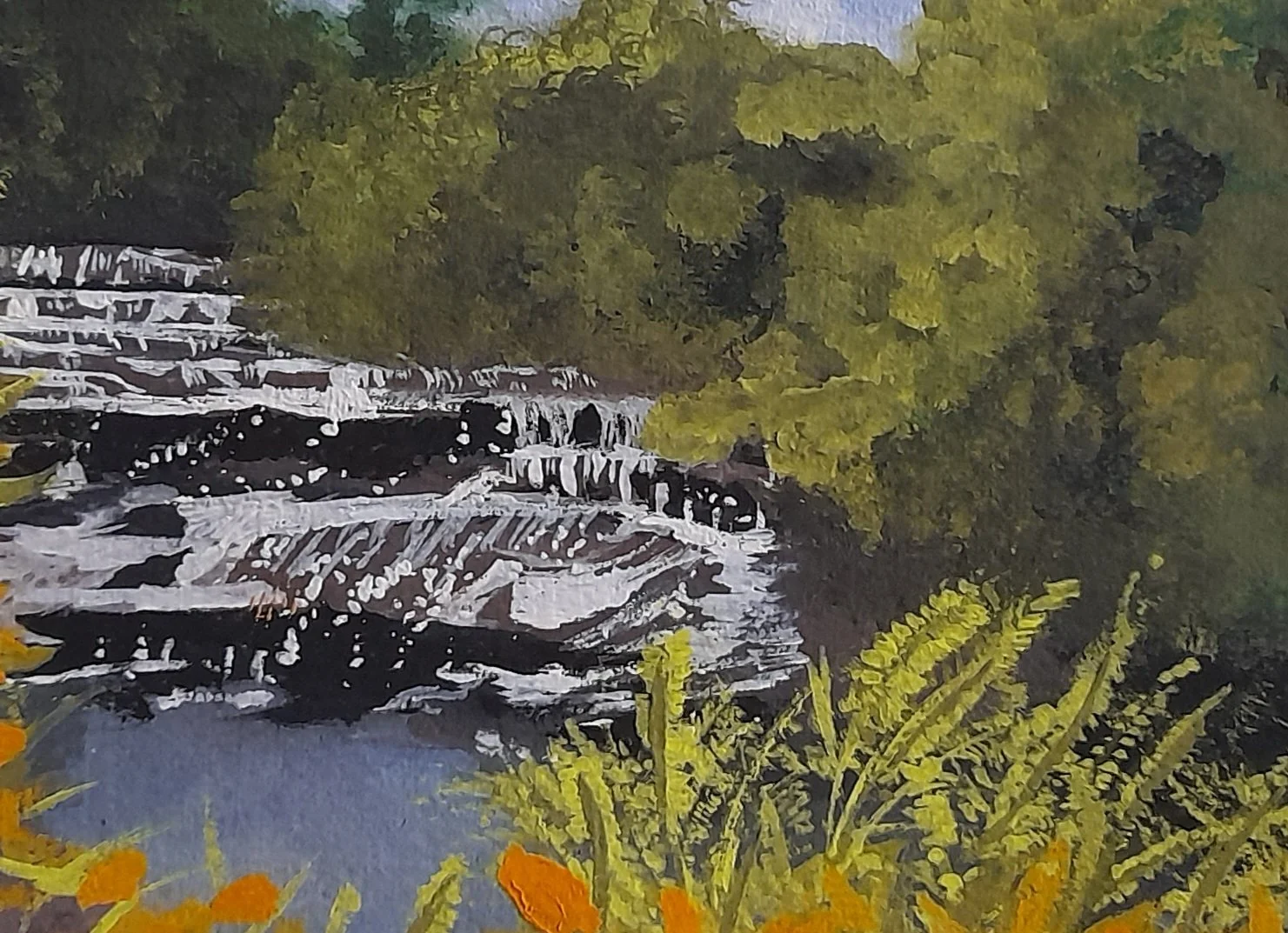 Sue Sheard - Aysgarth Falls