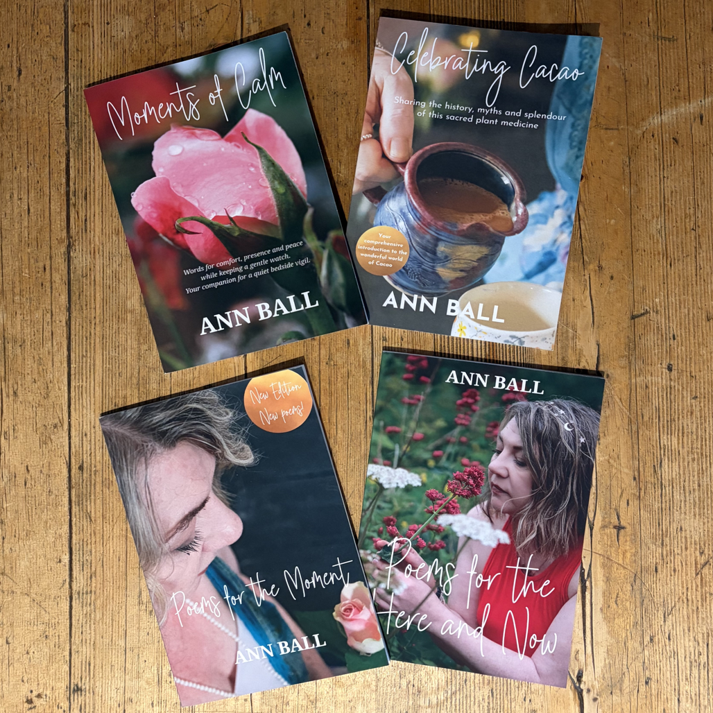 Do you need a Professional Cover Designer for your book?