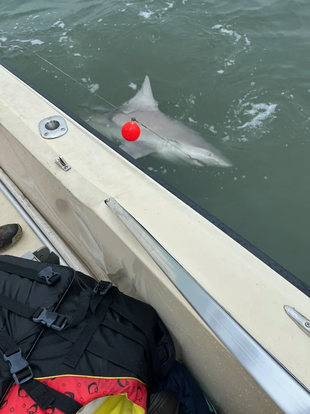 ksb fish 2025 (55).jpg