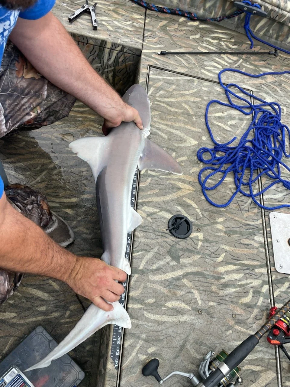 ksb fish 2025 (57).jpg