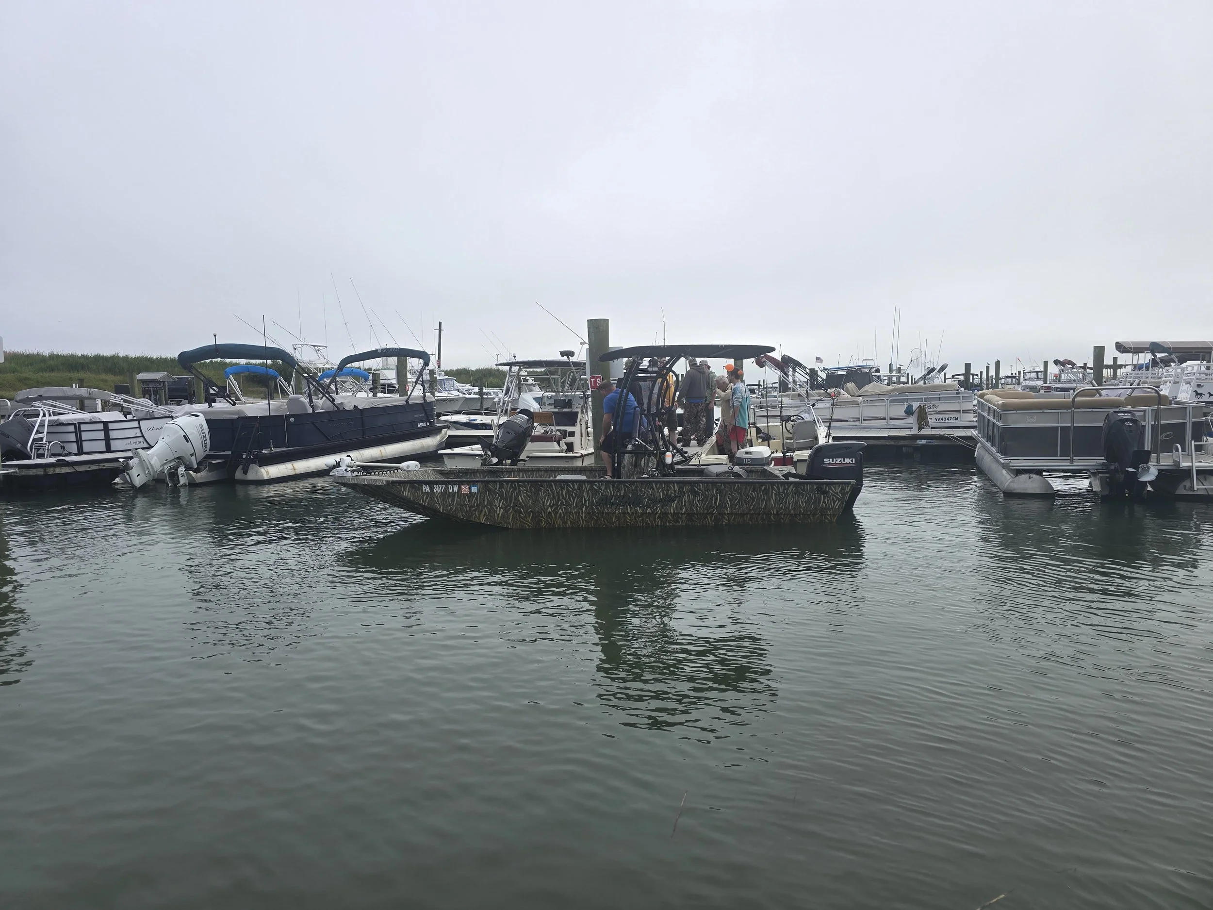 ksb fish 2025 (31).jpg