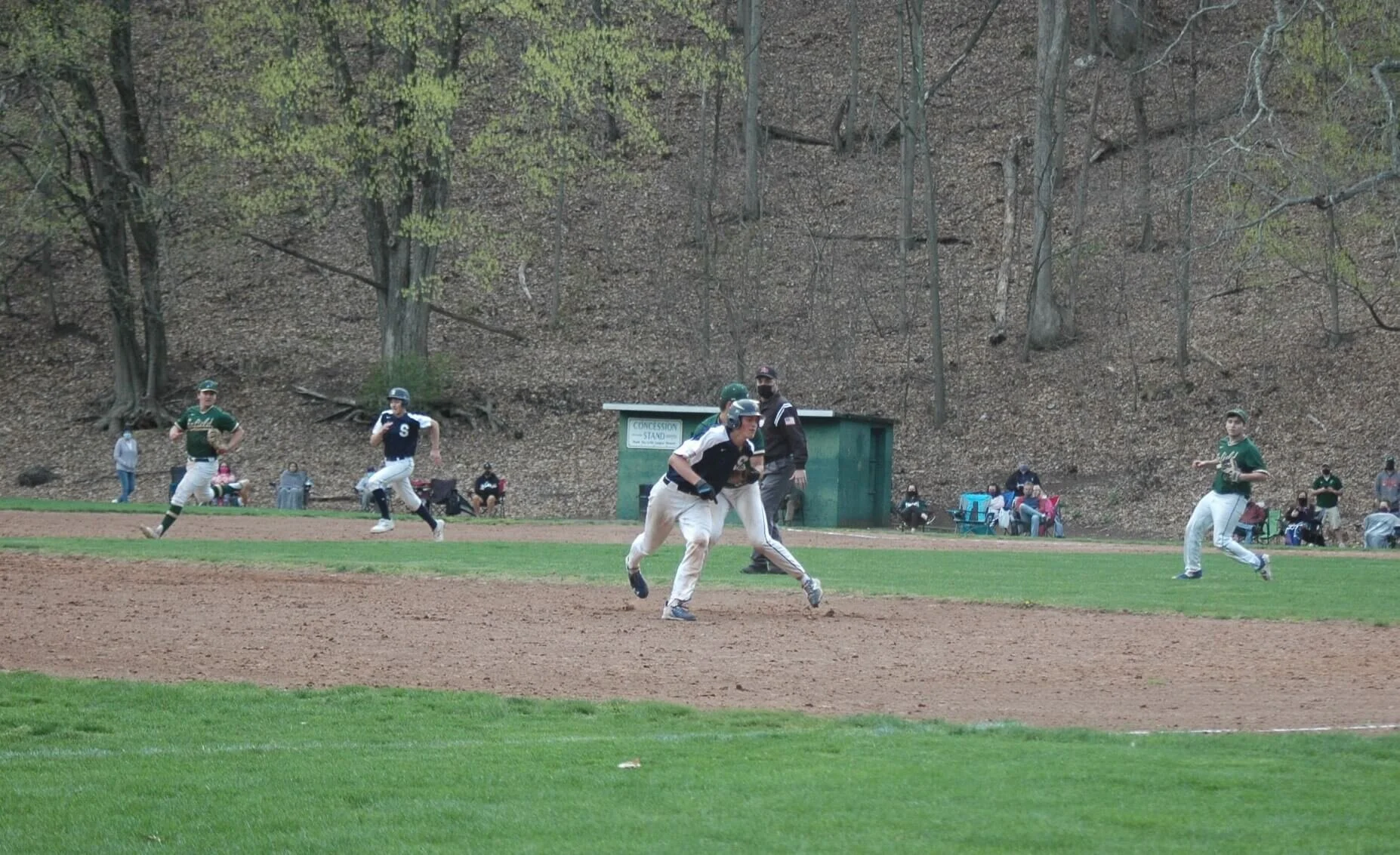 DSC_9083.JPG