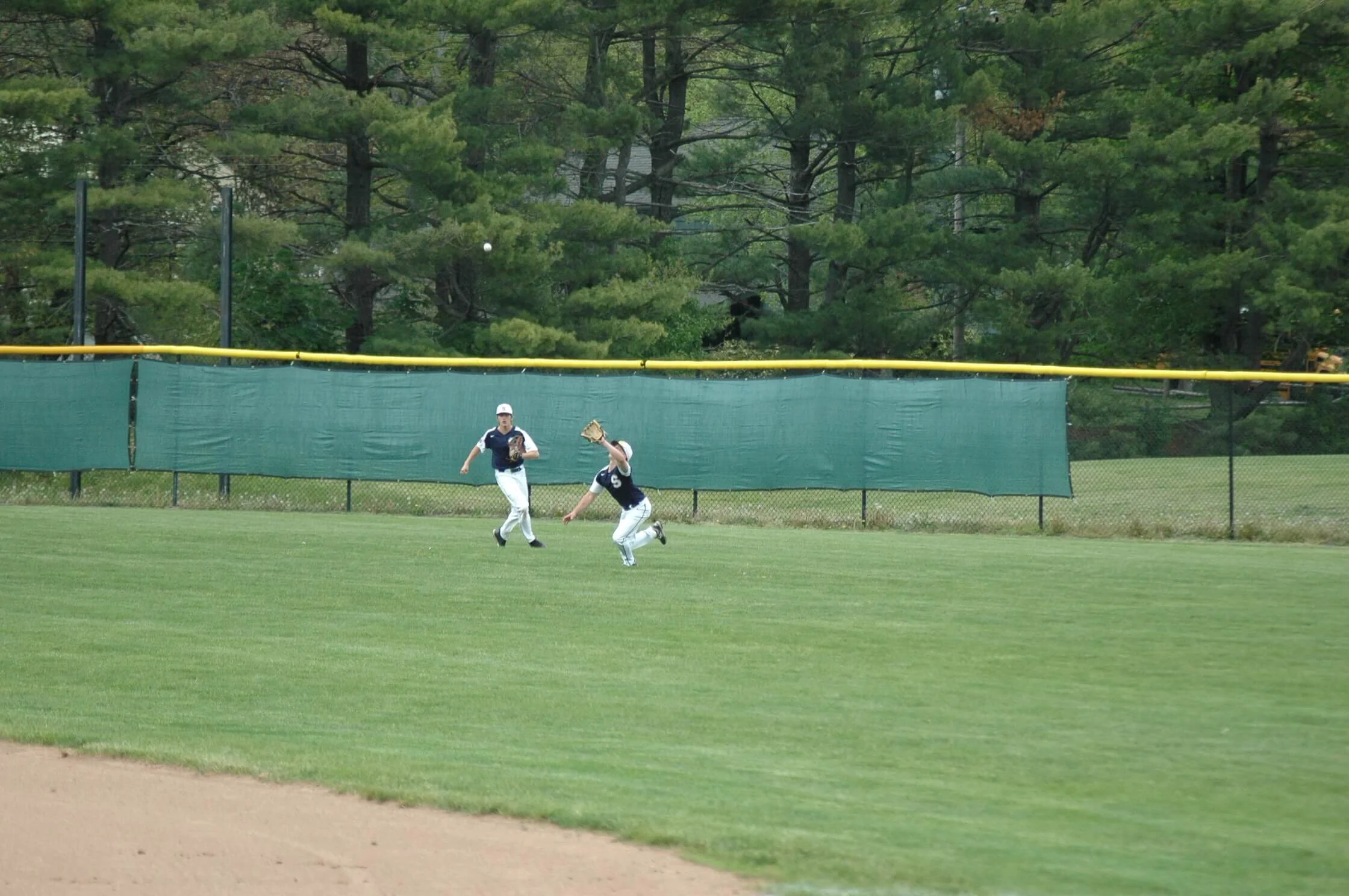 DSC_1503.JPG