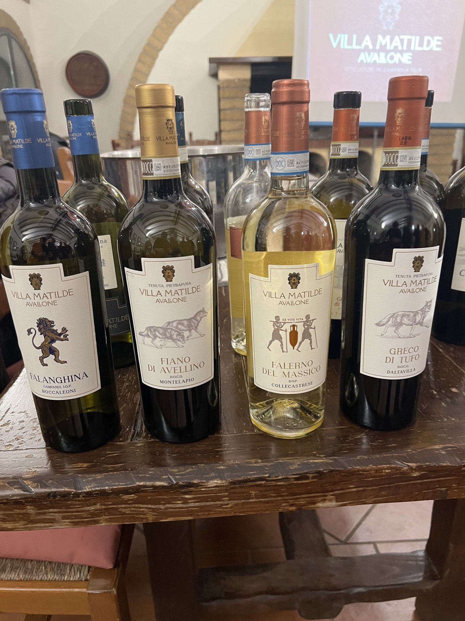 Villa Matilde Falerno del Massico Bianco Collecastrese 2023