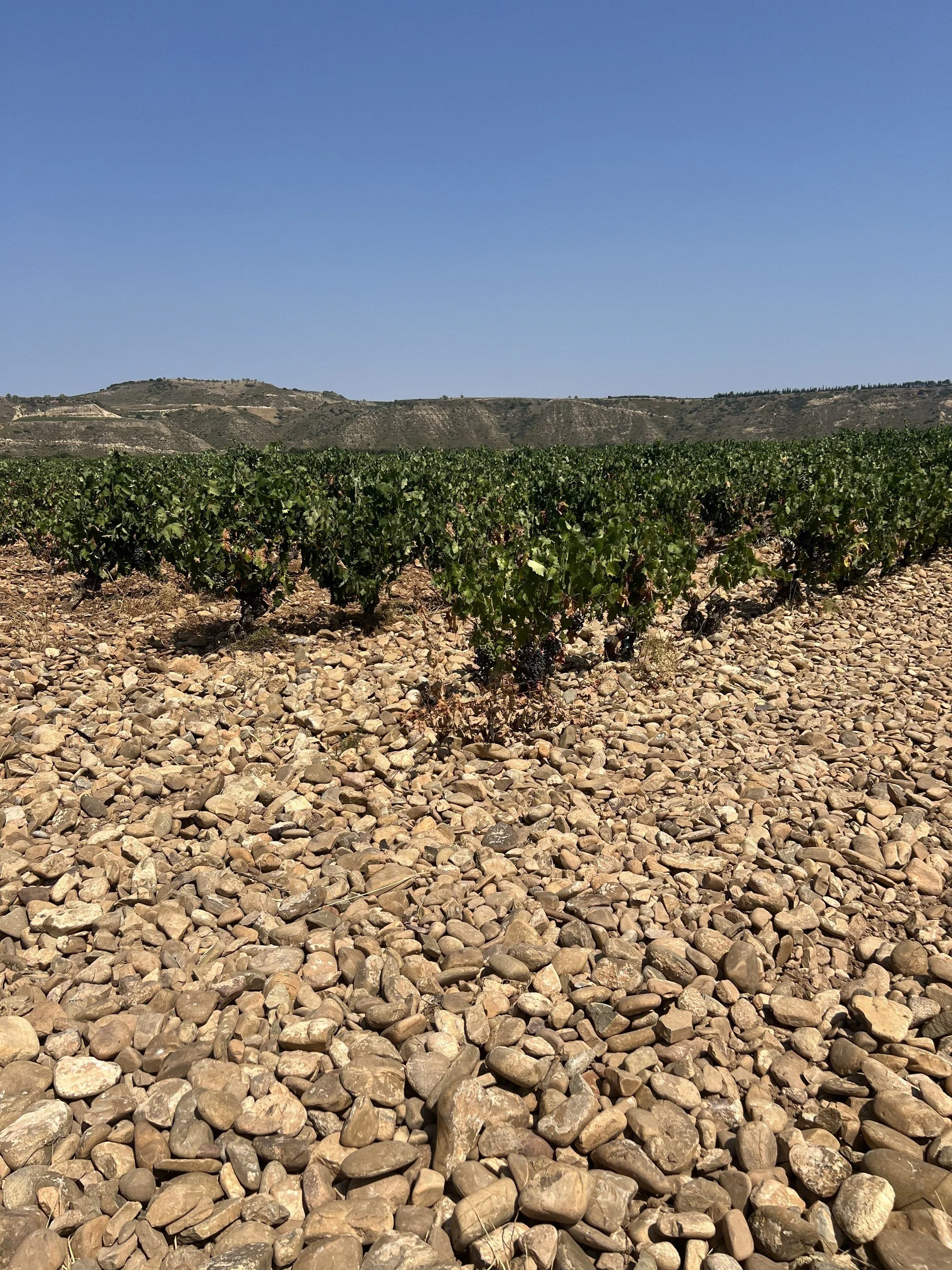 03_Finca-Valpiedra_IMG_2025.jpg