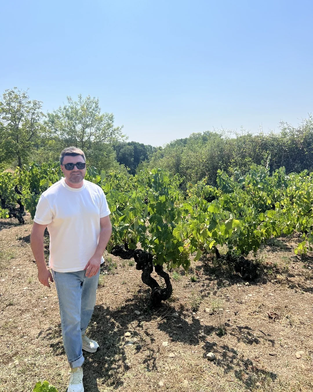 Svetoslav Stoyanov, founder of STOVINO, standing among old bush vines in a vineyard