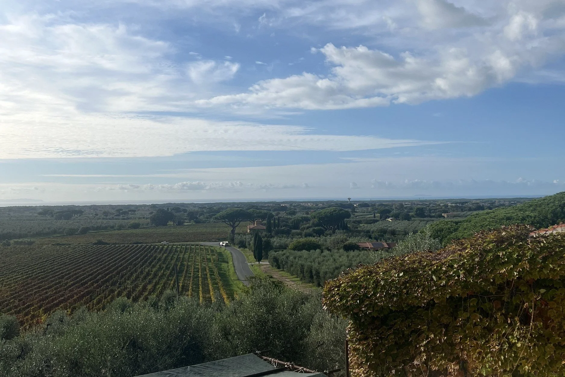 View from the Michele Satta estate towards the Tyrrhenian Sea, Bolgheri