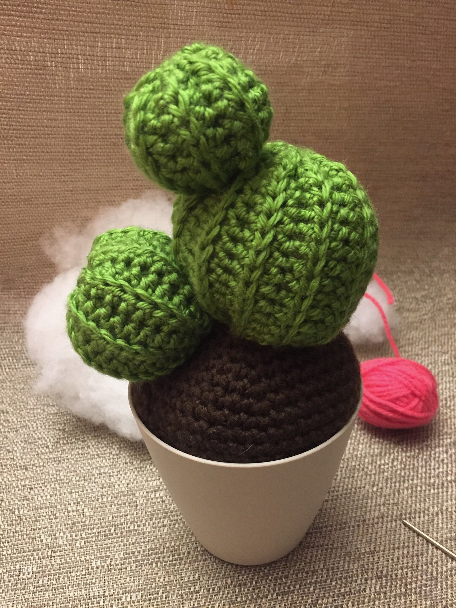 Cactus Crochet Can Cozy