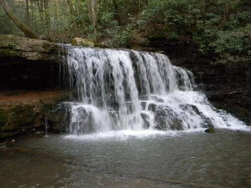 Hawkins County Resources