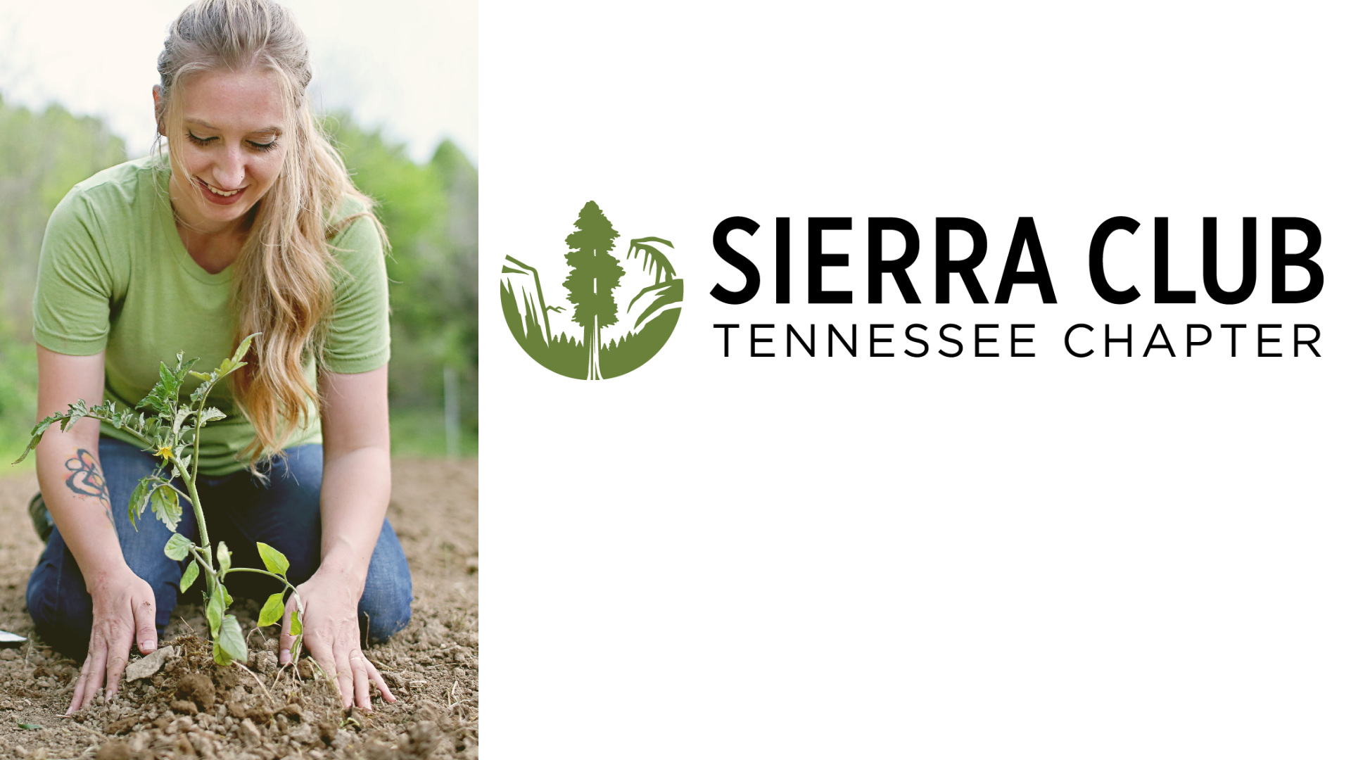 Sierra Club TN   Endorsement