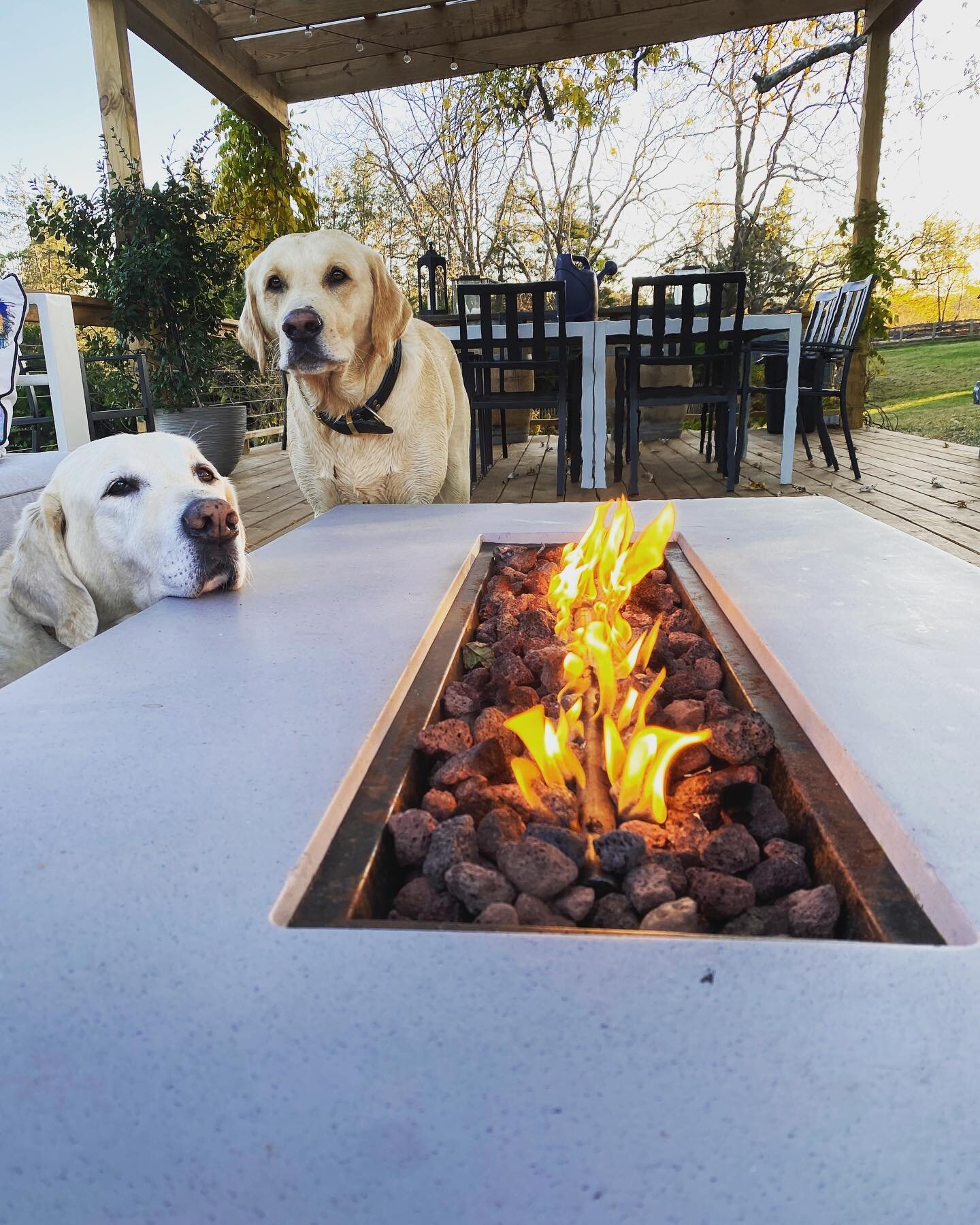 Fall farm vibes.