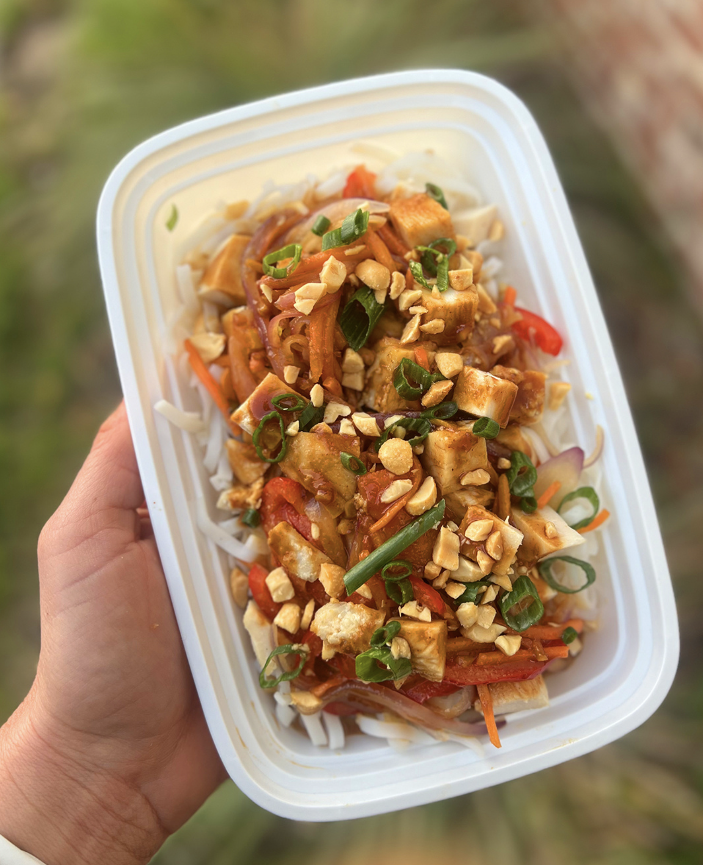Hand holding a white container of Asian noodle salad topped with chopped peanuts, chopped green onions, and shredded vegetables, with blurred outdoor background.
