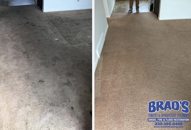 Pets and children can turn even the best looking carpet into a nightmare when its muddy... At Brad&rsquo;s we have the equipment, tools, and products necessary to make your carpet look perfectly clean in a very short time!

Call 330-385-8488 or email