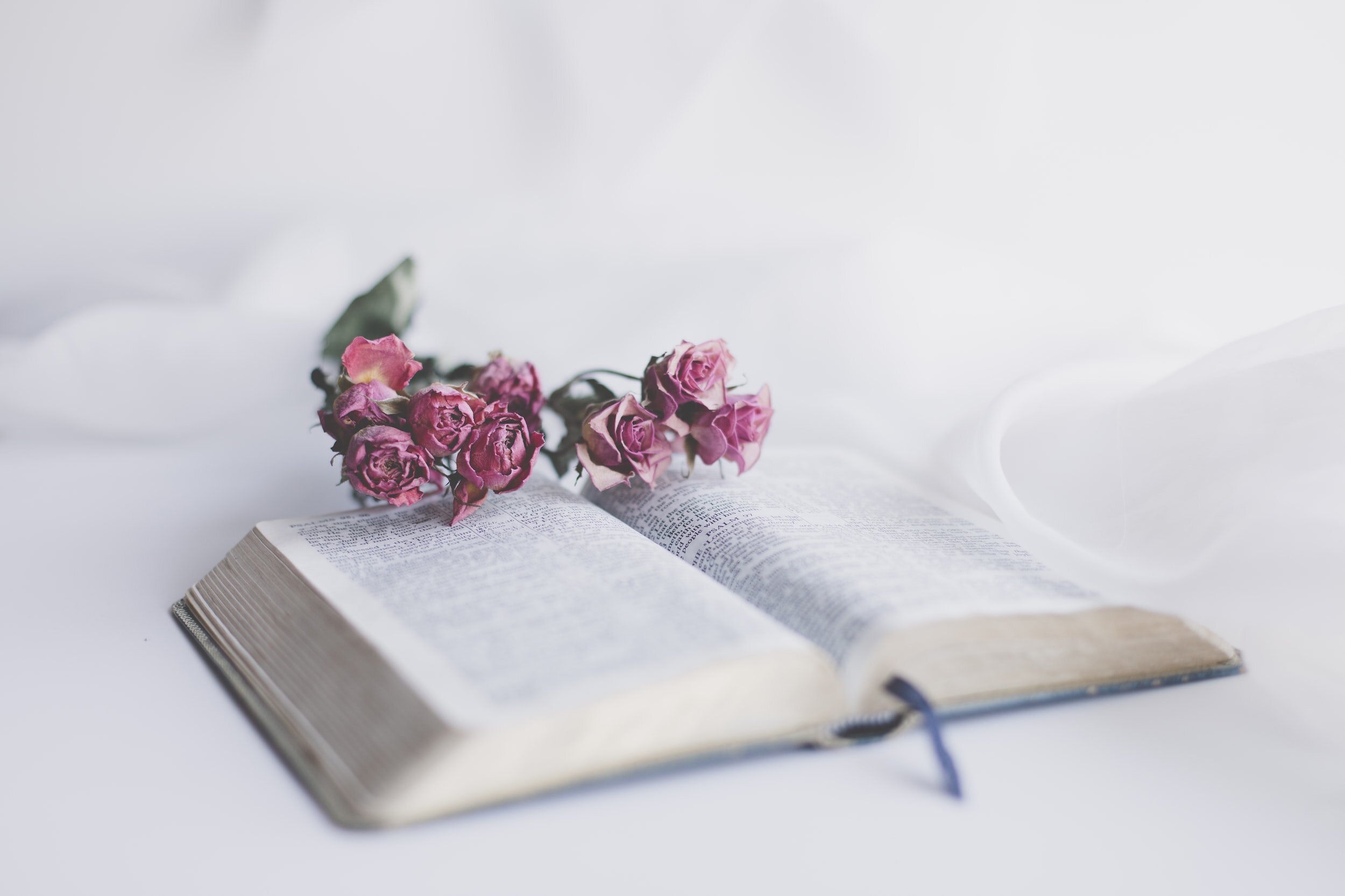 The Importance of Preaching God’s Truth to Yourself and Others