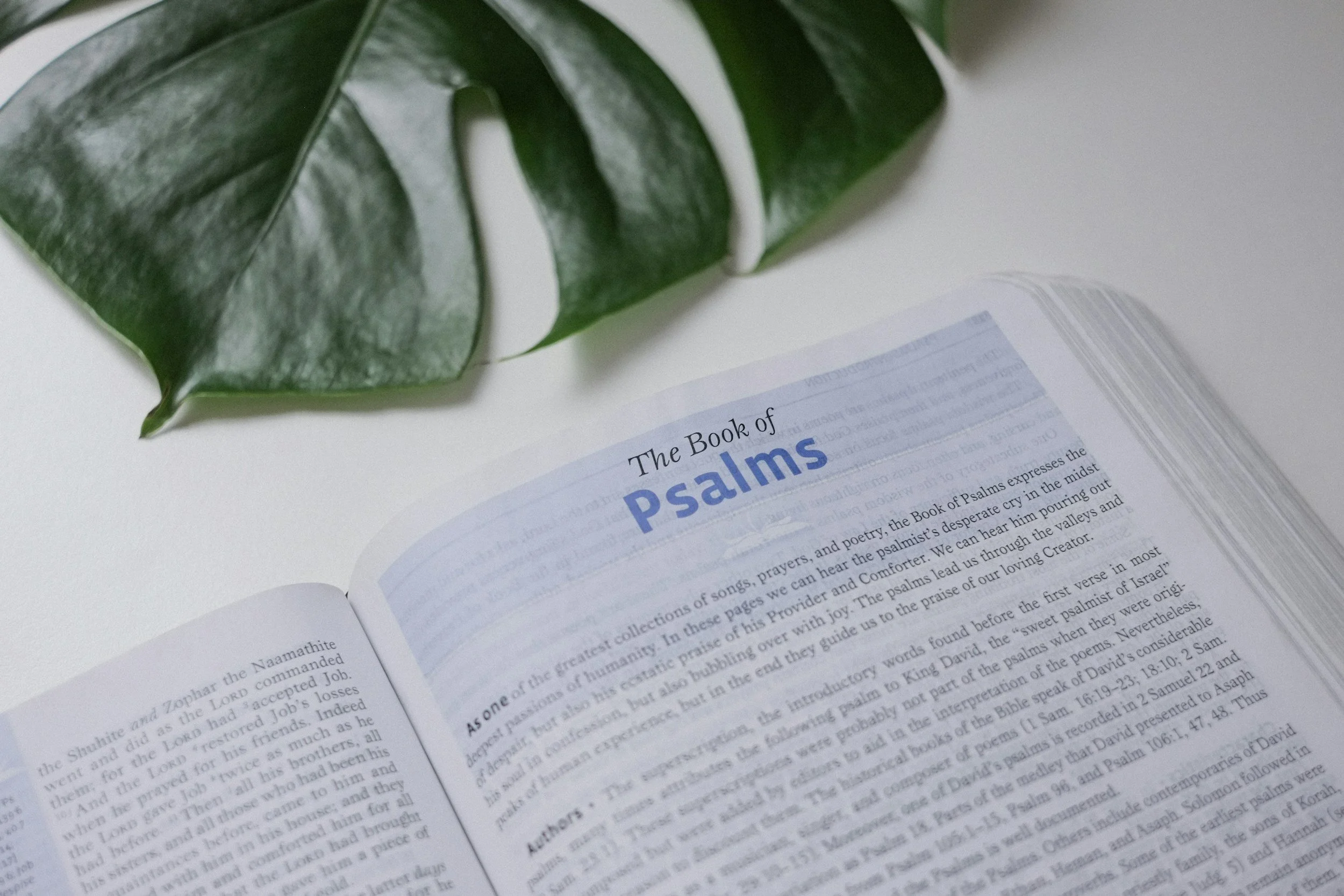 Praying Through the Psalms