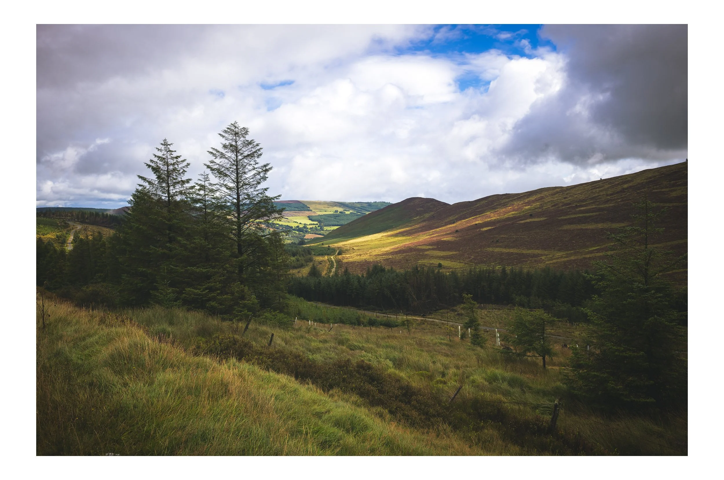 Drumgoff in the Wicklow Mountains, Co. Wexford