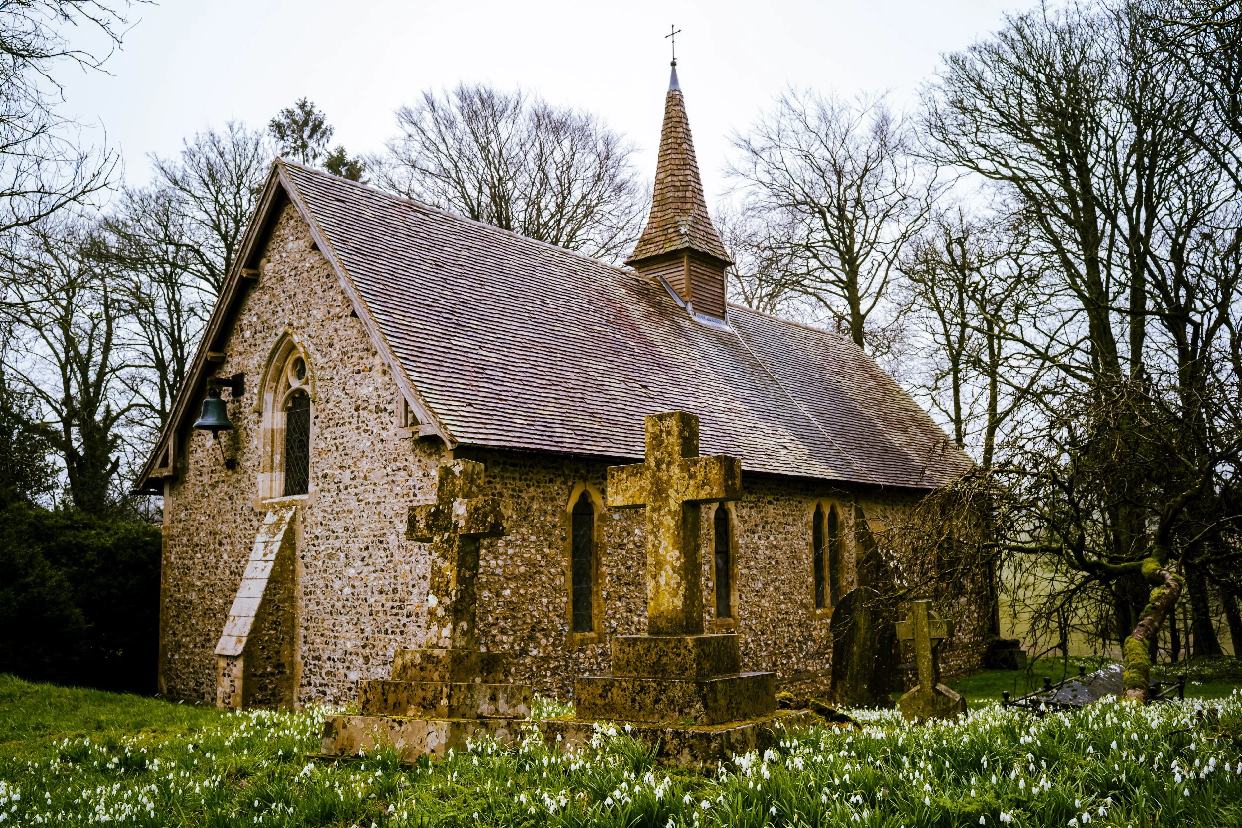 M1000462-Enhanced-NR_Squarespace Website_2500x1667_H_100_auto.jpg