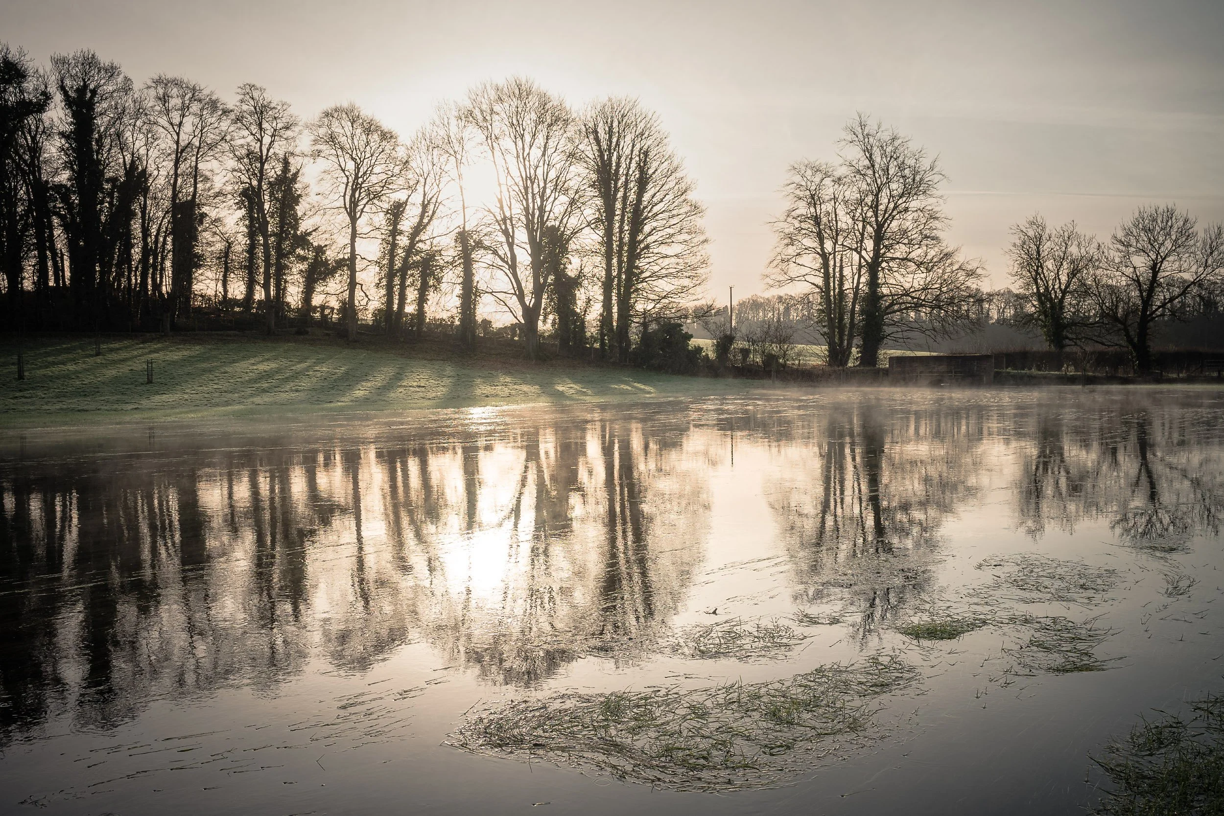 M1005590 (Gaussian Blur)_Squarespace Website_2500x1667_H_100_auto.jpg