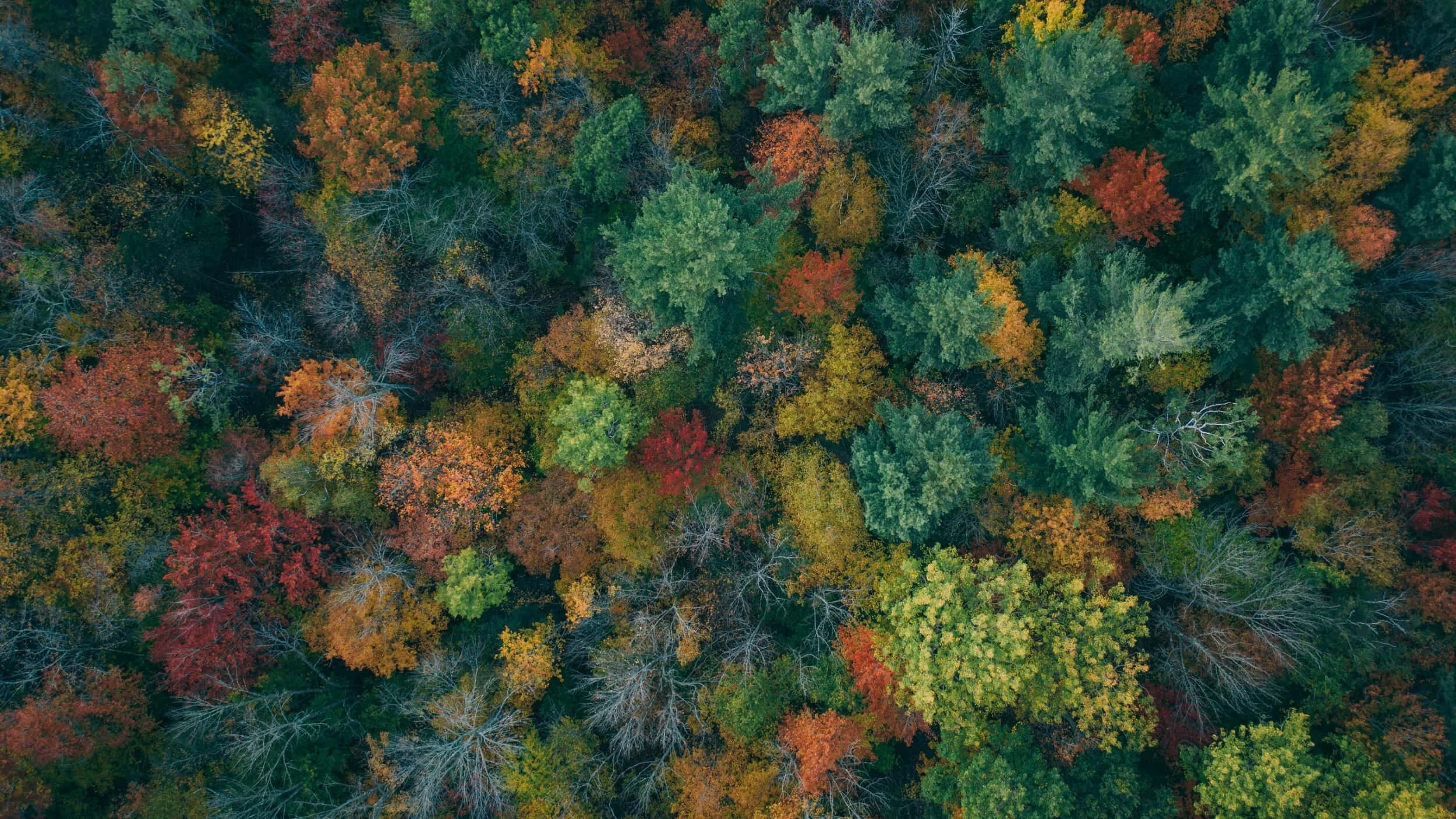 R2_Benefits banner.jpg