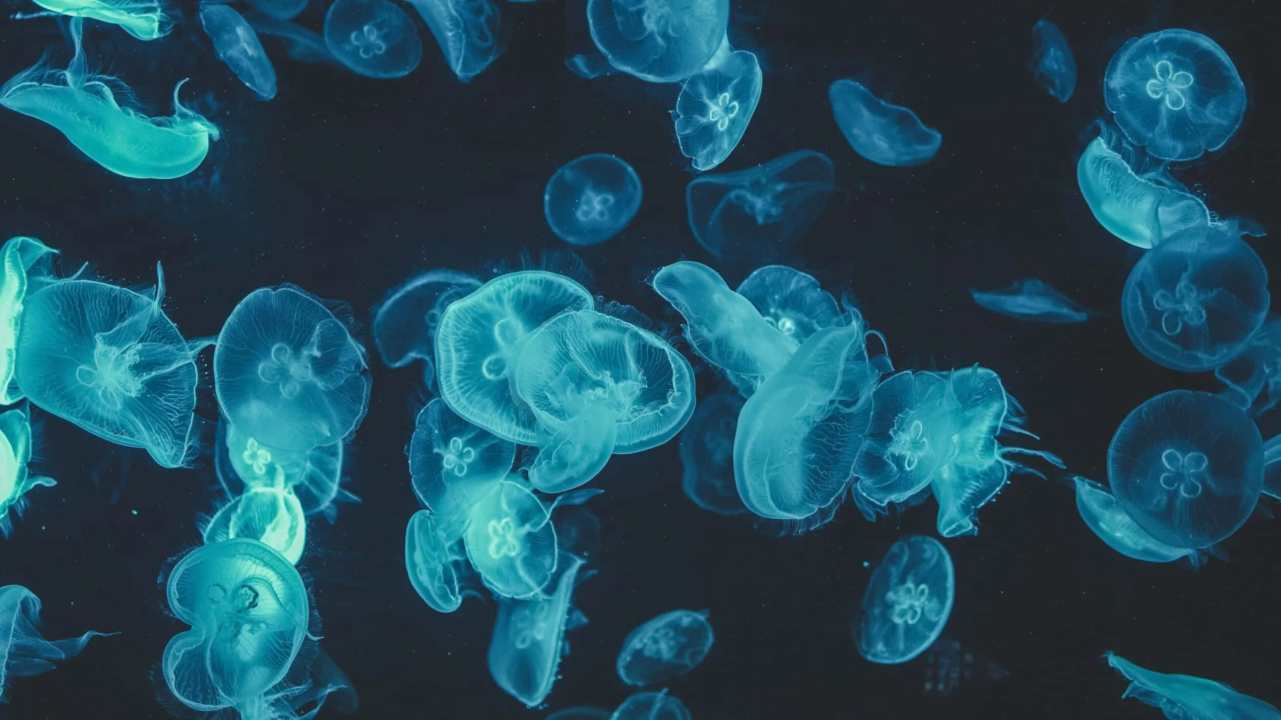 R2_Solutions banner.jpg