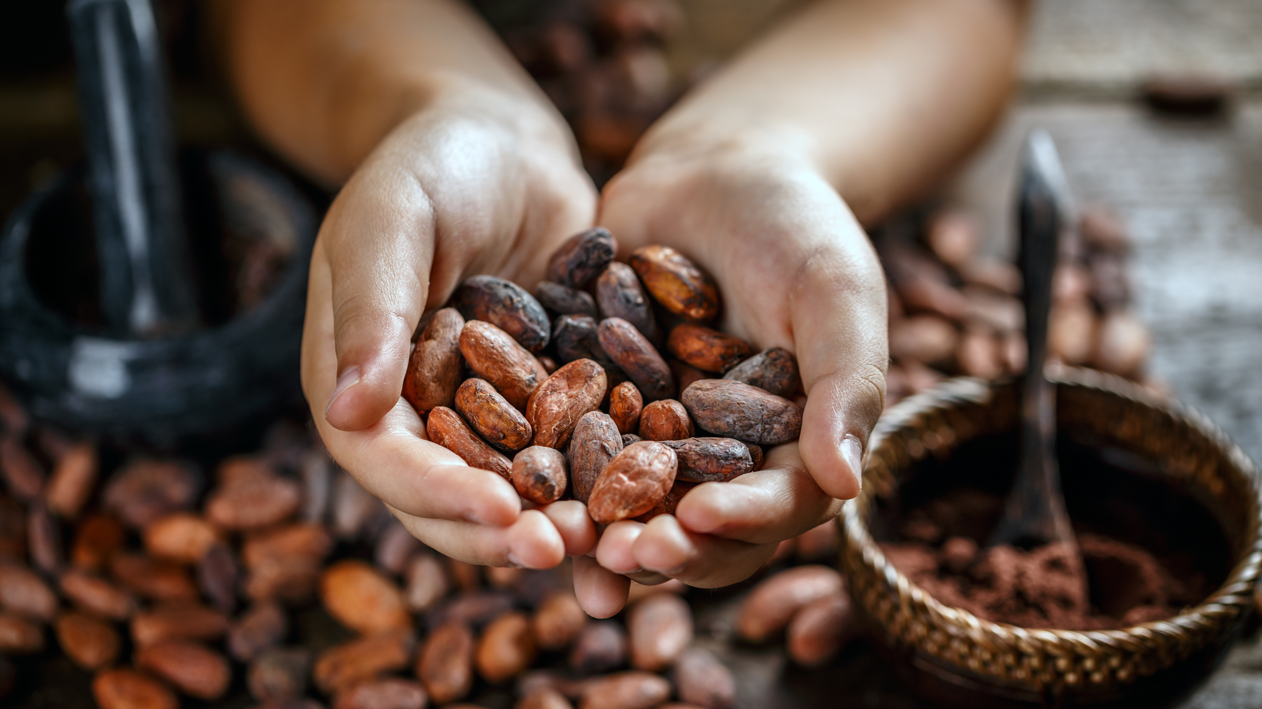 Children for Chocolate