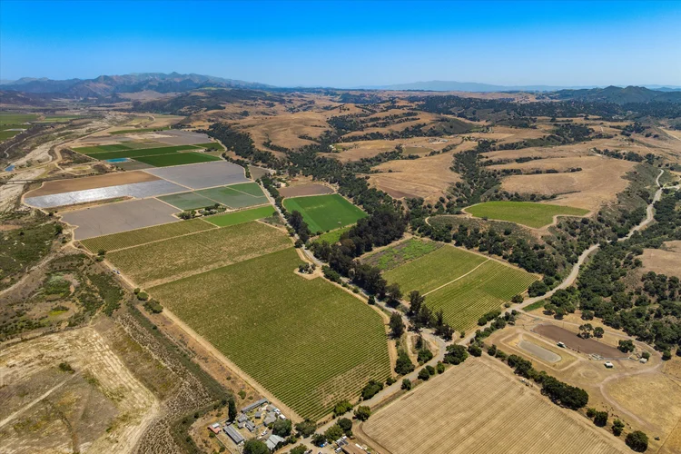 Goodchild Vineyard — property photograph 6