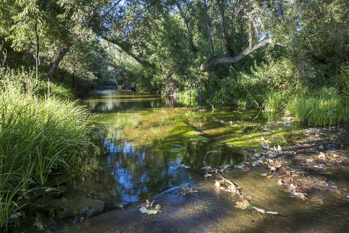 Big Bend Ranch - Ranch Land - Web-14.png