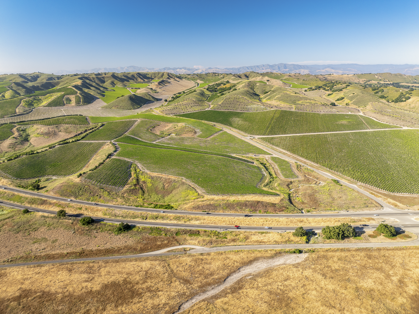 Loma Verde 2026 - Web-2.png