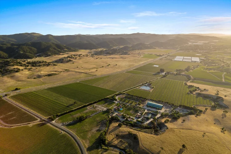 Carrari Vineyard — property photograph 2