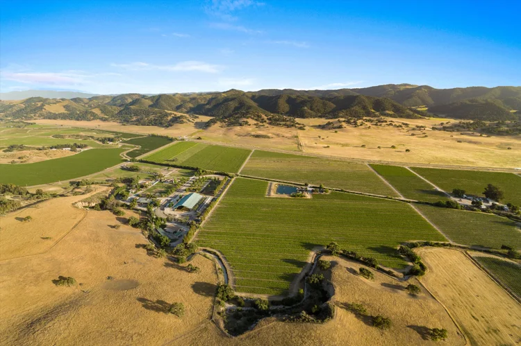 Carrari Vineyard — property photograph 7
