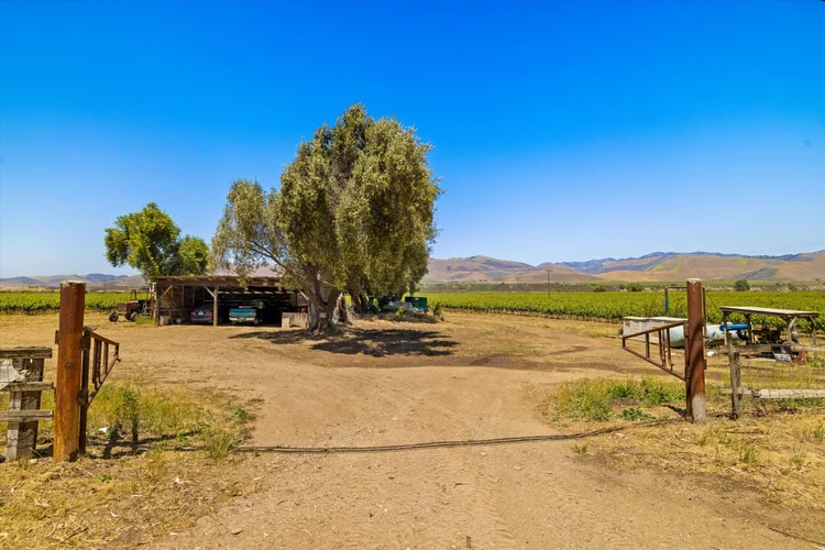 Goodchild Vineyard — property photograph 21